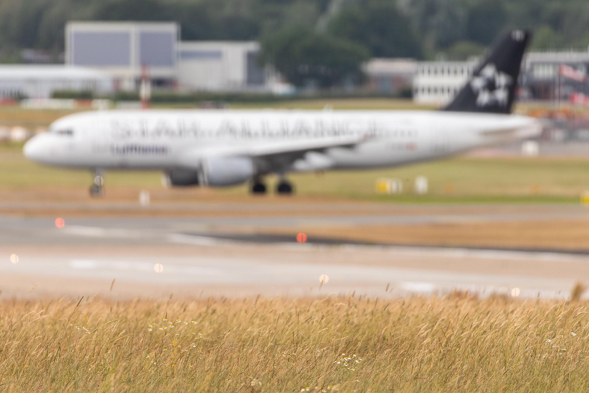 Hamburg Airport: Lufthansa (LH / DLH) | Livery: Star Alliance Livery |  Airbus A320-211 A320 | D-AIPD | MSN 0072