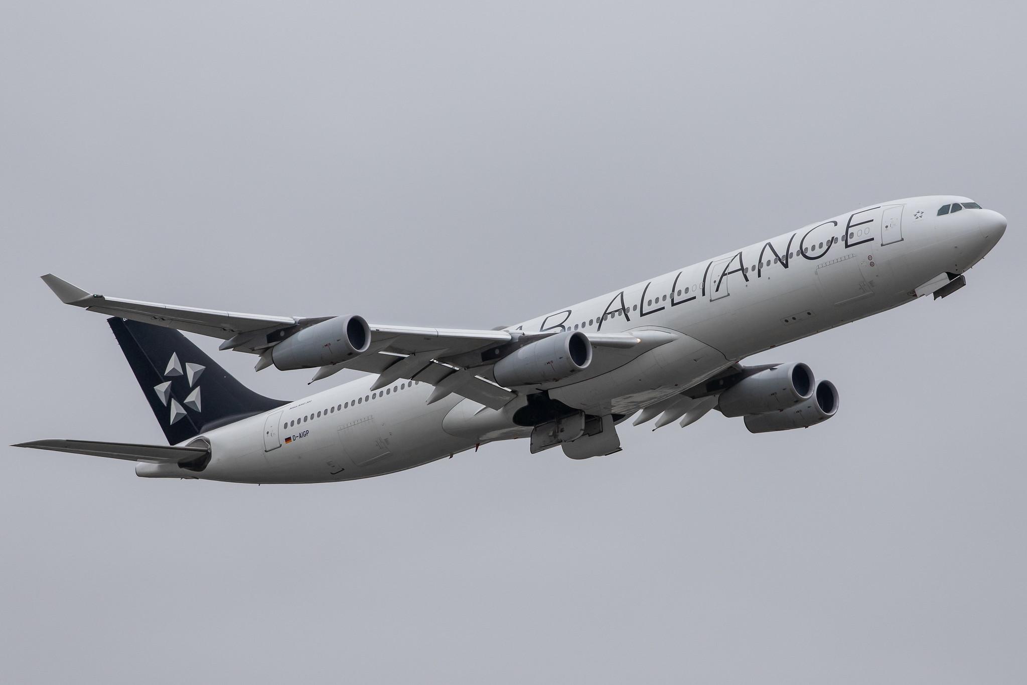 Frankfurt Airport: Lufthansa (LH / DLH) |  Livery: Star Alliance Livery | Operator: Lufthansa CityLine |  Airbus A340-313 A343 | D-AIGP | MSN 0252