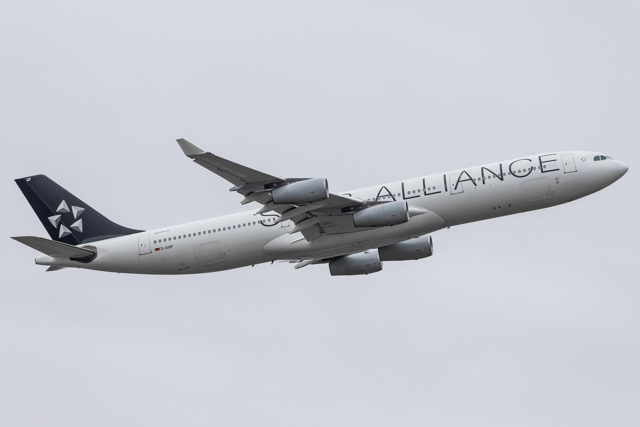 Frankfurt Airport: Lufthansa (LH / DLH) |  Livery: Star Alliance Livery | Operator: Lufthansa CityLine |  Airbus A340-313 A343 | D-AIGP | MSN 0252