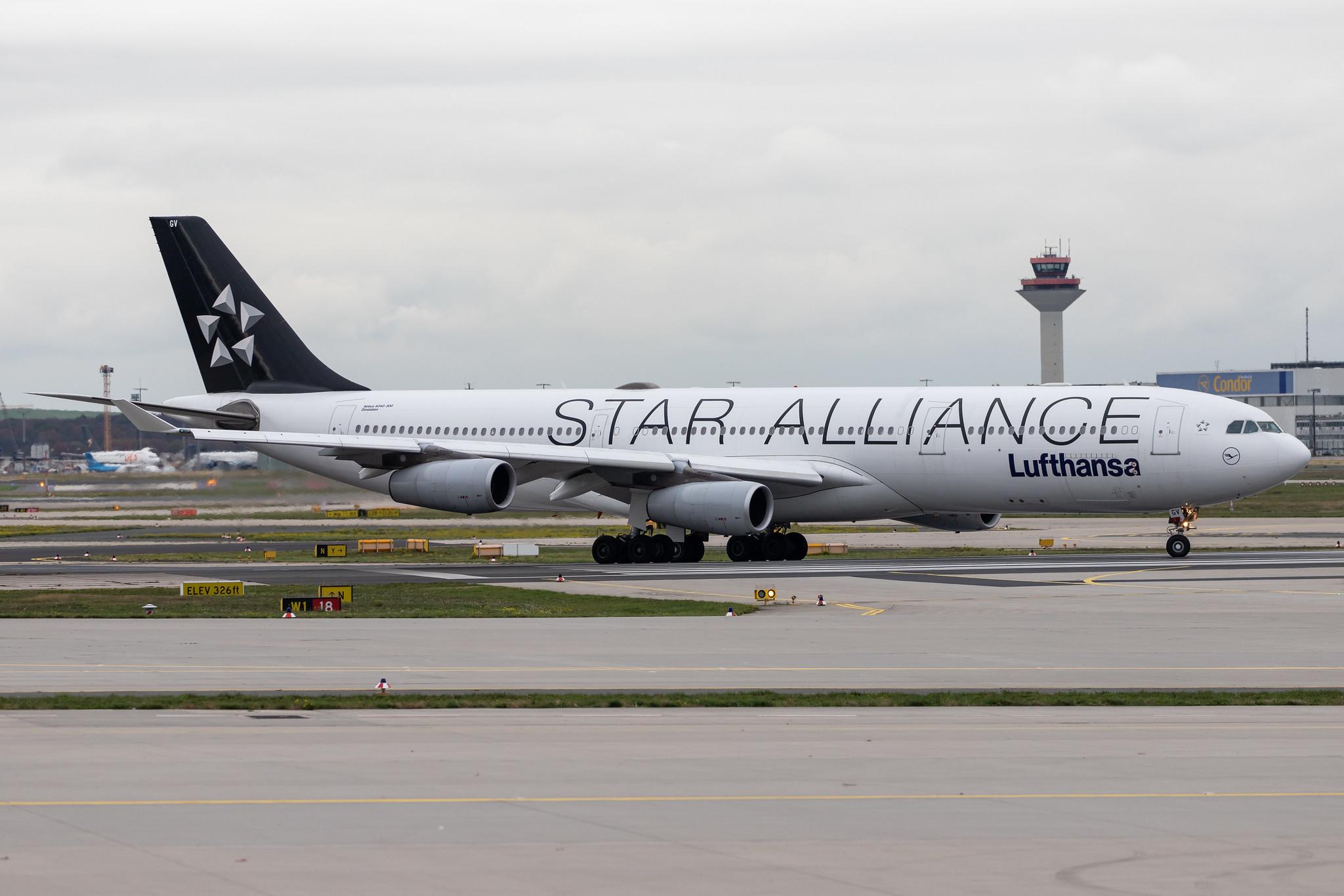 Frankfurt Airport: Lufthansa (LH / DLH) |  Livery: Star Alliance Livery |  Airbus A340-313 A343 | D-AIGV | MSN 0325