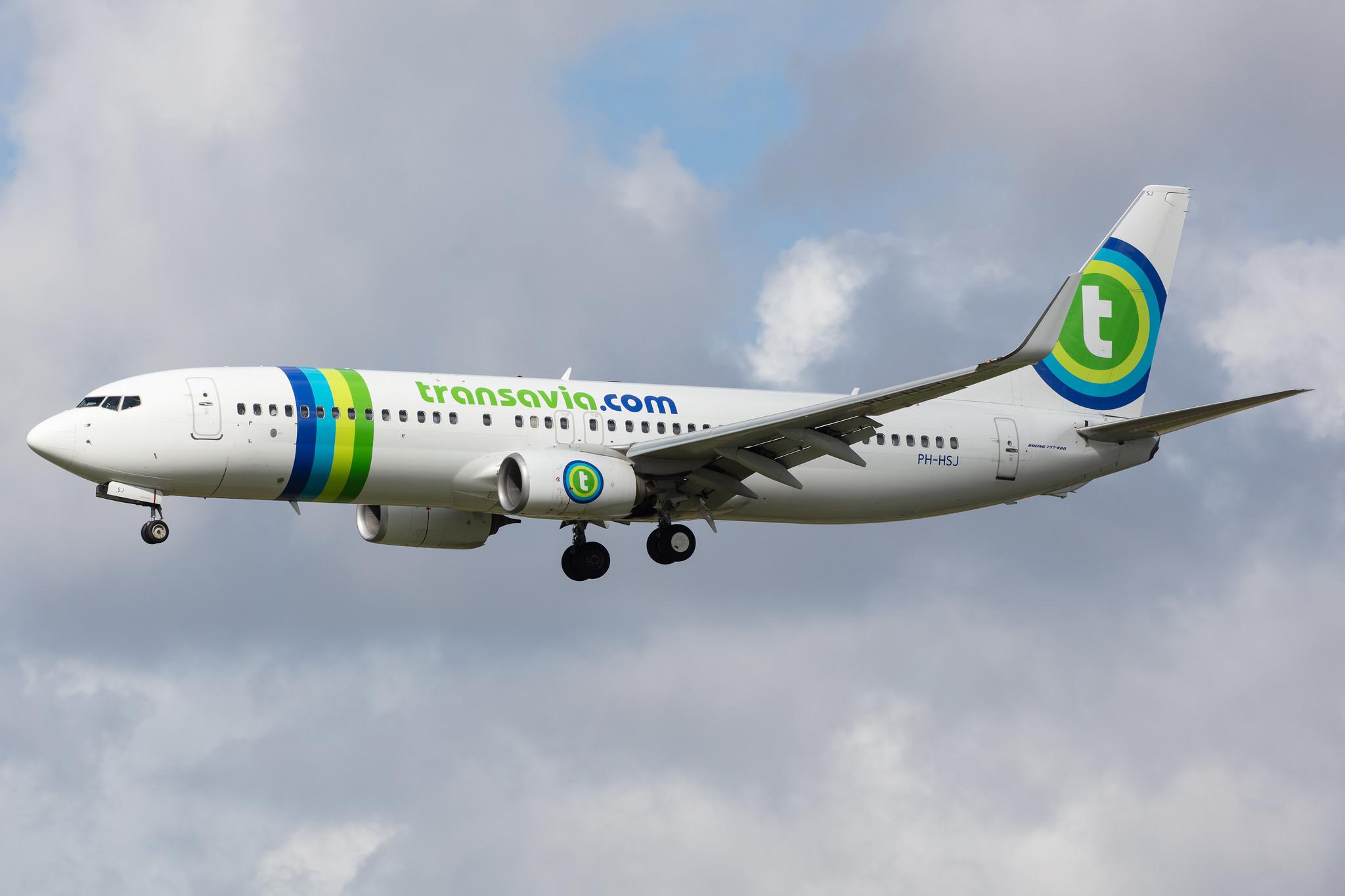 Amsterdam Airport Schiphol: Transavia (HV / TRA) |  Boeing 737-8K2 B738 | PH-HSJ | MSN 42150