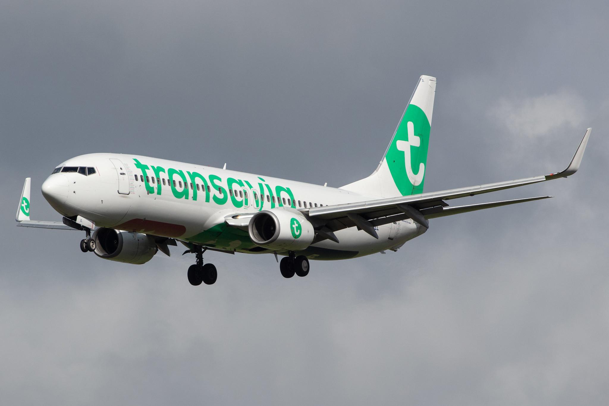 Amsterdam Airport Schiphol: Transavia (HV / TRA) |  Boeing 737-8K2 B738 | PH-HZL | MSN 30391