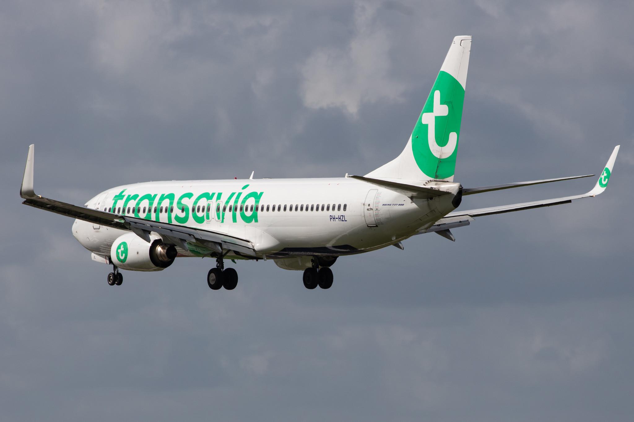 Amsterdam Airport Schiphol: Transavia (HV / TRA) |  Boeing 737-8K2 B738 | PH-HZL | MSN 30391