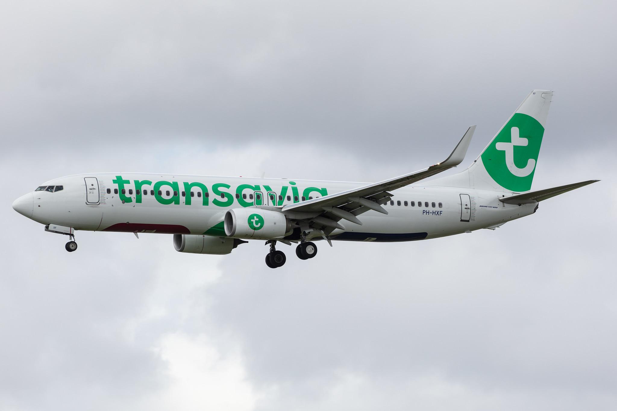 Amsterdam Airport Schiphol: Transavia (HV / TRA) |  Boeing 737-8K2 B738 | PH-HXF | MSN 62153