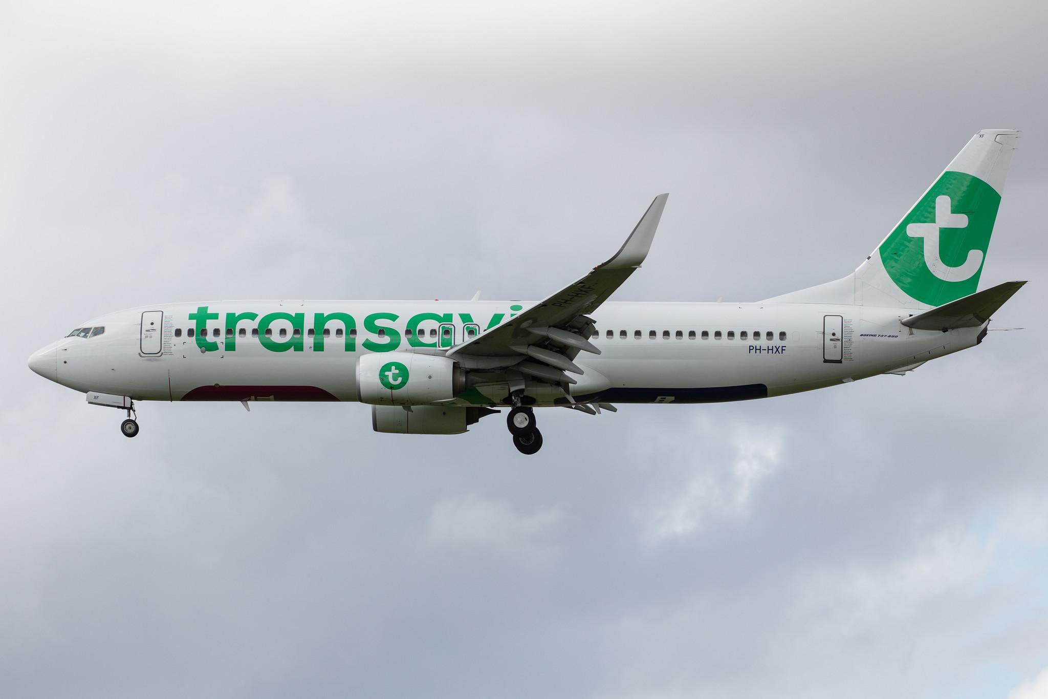 Amsterdam Airport Schiphol: Transavia (HV / TRA) |  Boeing 737-8K2 B738 | PH-HXF | MSN 62153