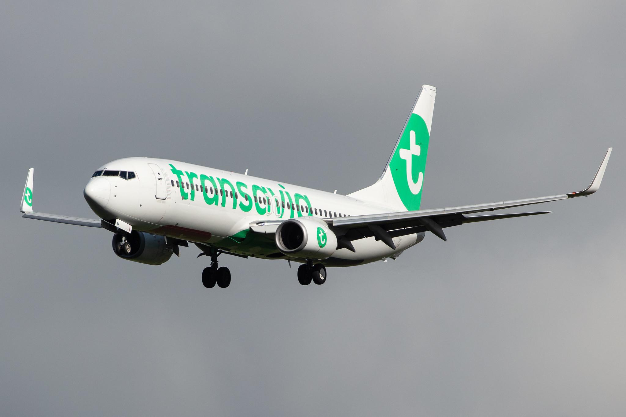 Amsterdam Airport Schiphol: Transavia (HV / TRA) |  Boeing 737-8K2 B738 | PH-HSA | MSN 34171