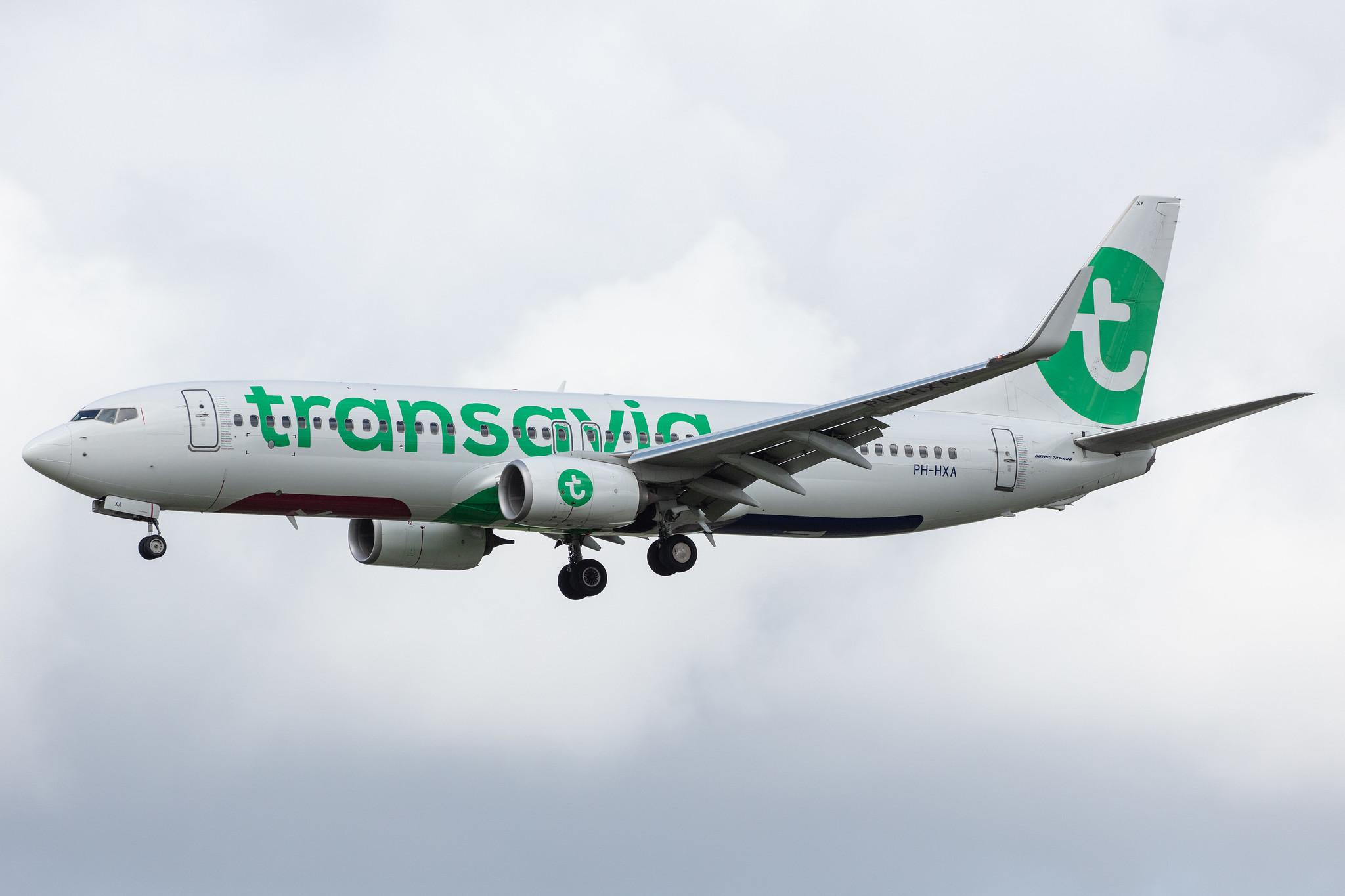 Amsterdam Airport Schiphol: Transavia (HV / TRA) |  Boeing 737-8K2 B738 | PH-HXA | MSN 62149
