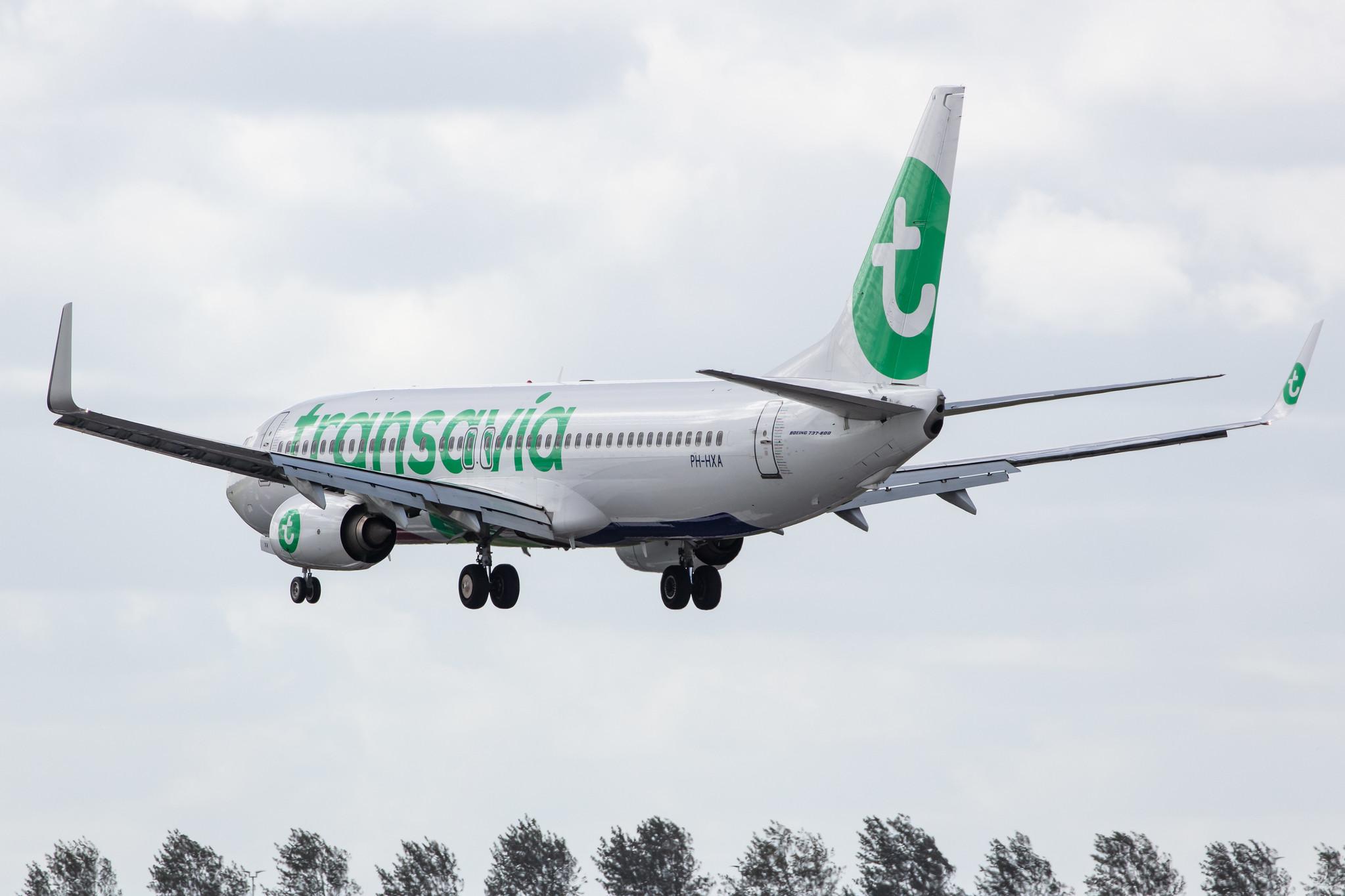 Amsterdam Airport Schiphol: Transavia (HV / TRA) |  Boeing 737-8K2 B738 | PH-HXA | MSN 62149
