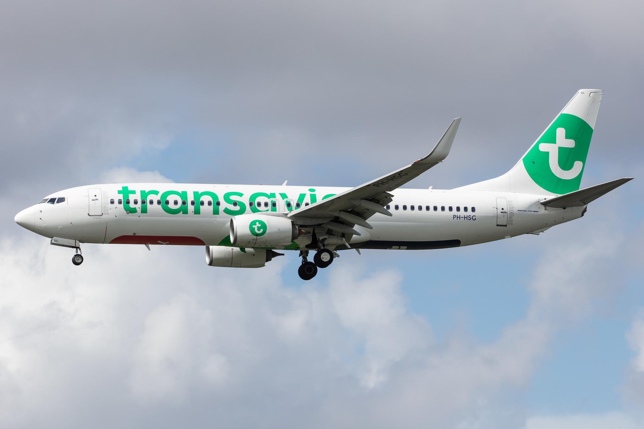 Amsterdam Airport Schiphol: Transavia (HV / TRA) |  Boeing 737-8K2 B738 | PH-HSG | MSN 39262