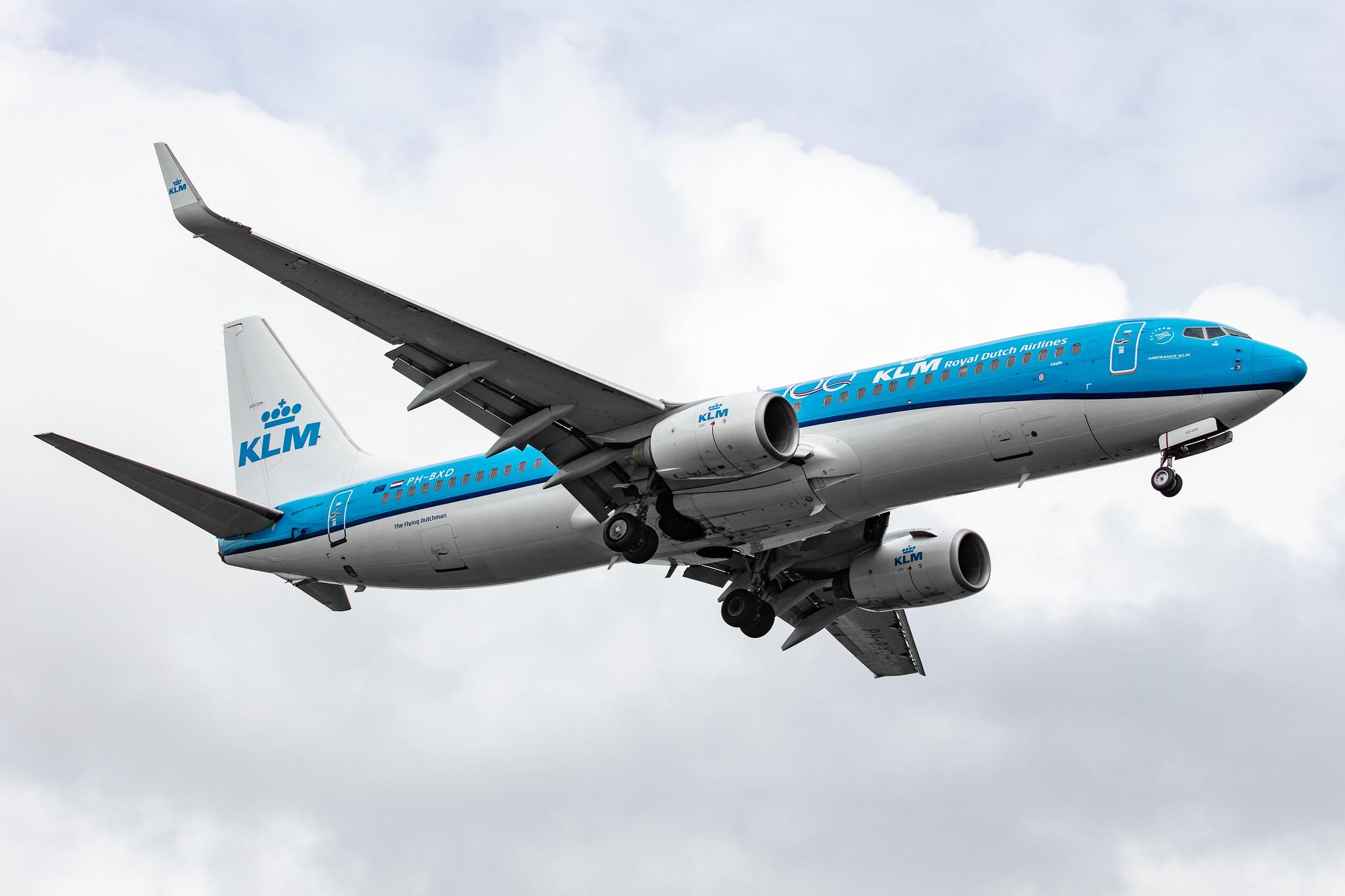 Amsterdam Airport Schiphol: KLM (KL / KLM) |  Boeing 737-8K2 B738 | PH-BXD | MSN 29134