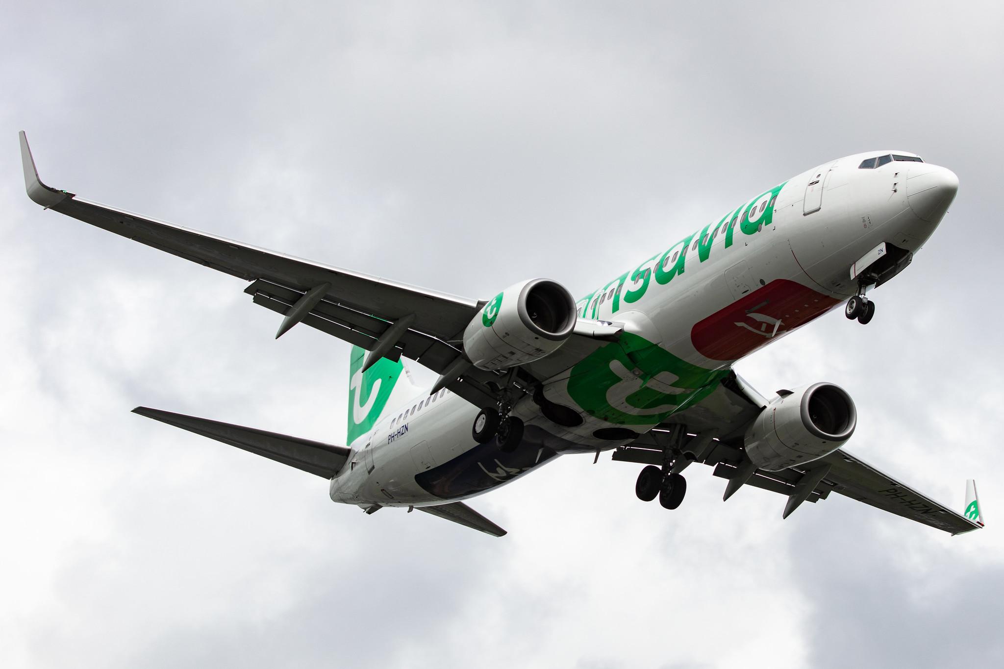 Amsterdam Airport Schiphol: Transavia (HV / TRA) |  Boeing 737-8K2 B738 | PH-HZN | MSN 32943