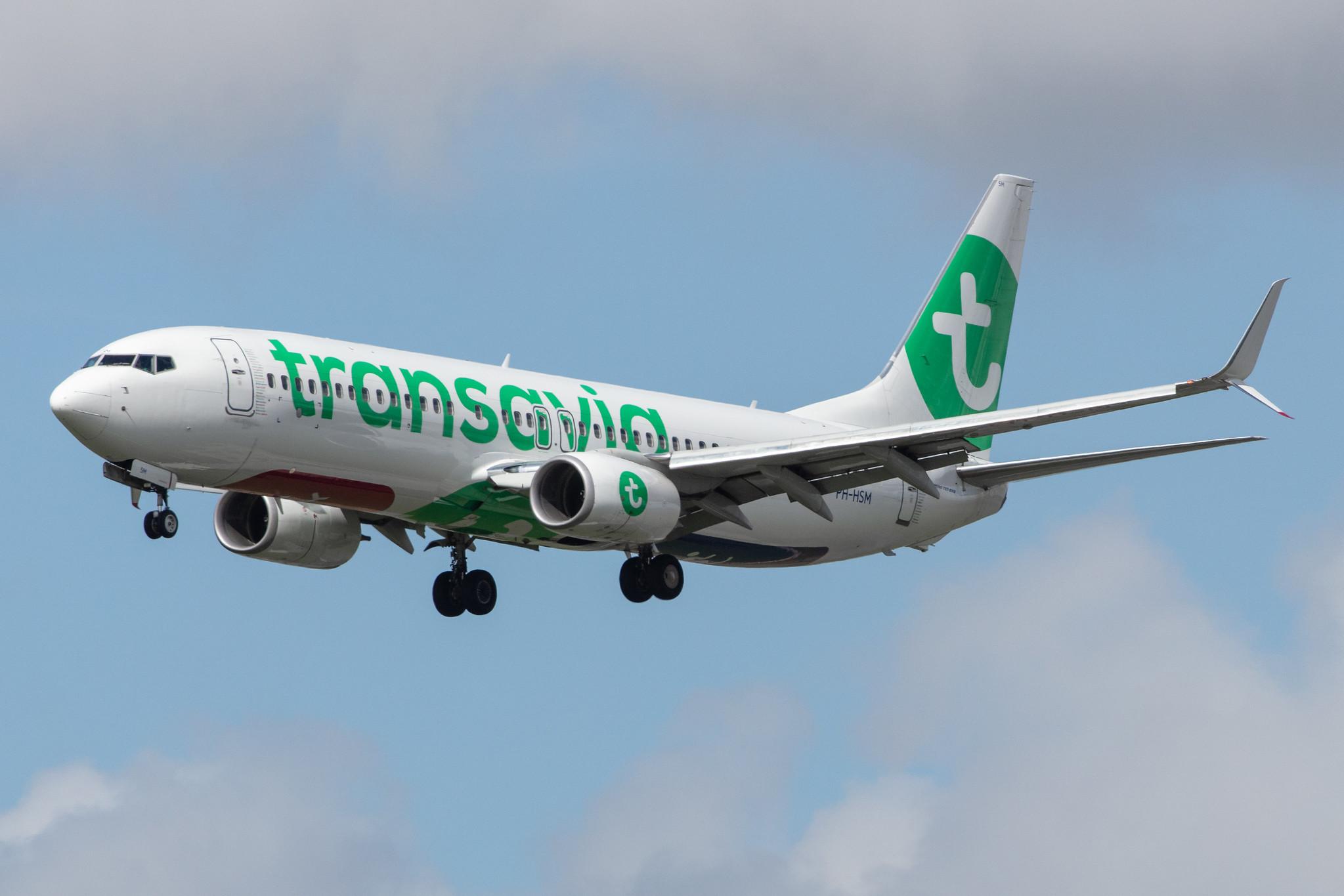 Amsterdam Airport Schiphol: Transavia (HV / TRA) |  Boeing 737-8K2 B738 | PH-HSM | MSN 42067