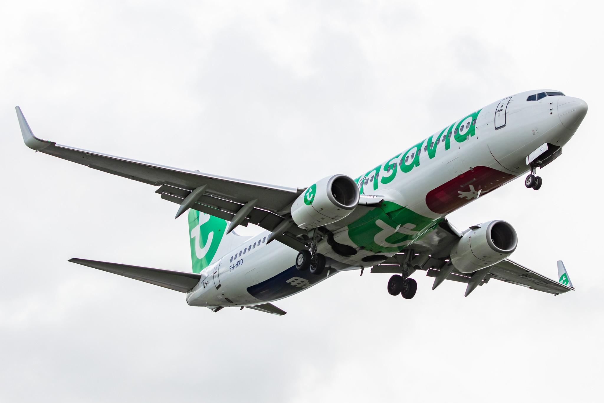 Amsterdam Airport Schiphol: Transavia (HV / TRA) |  Boeing 737-8K2 B738 | PH-HXD | MSN 61791