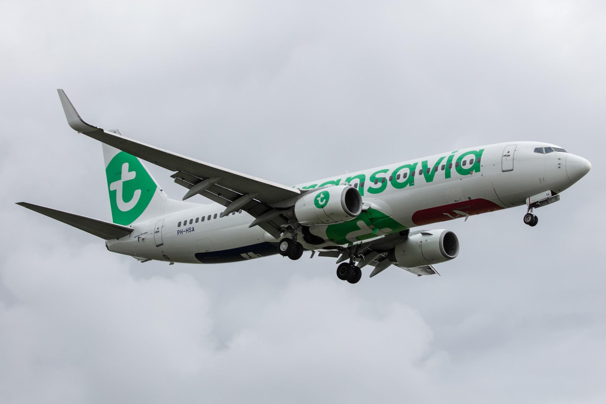 Amsterdam Airport Schiphol: Transavia (HV / TRA) |  Boeing 737-8K2 B738 | PH-HSA | MSN 34171