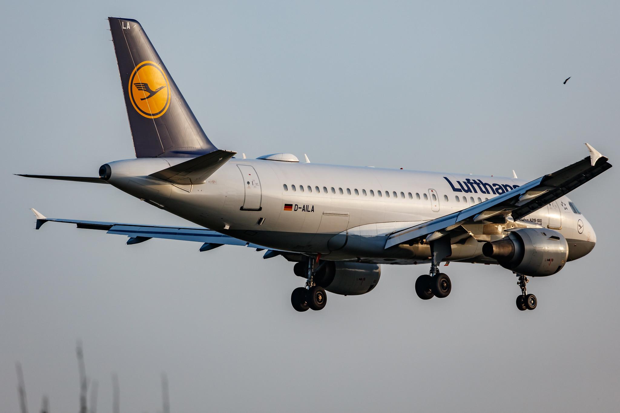 Hamburg Airport: Lufthansa (LH / DLH) |  Airbus A319-114 A319 | D-AILA | MSN 0609