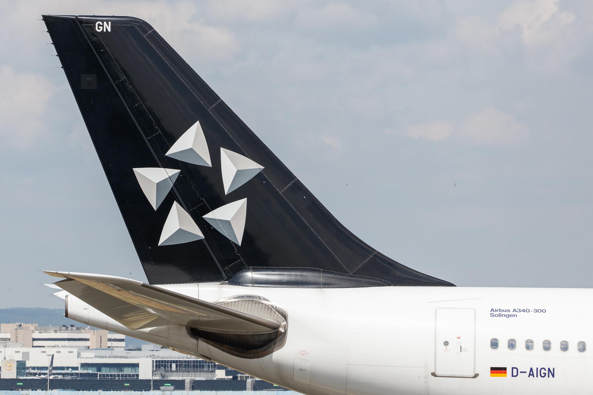 Frankfurt Airport: Lufthansa (LH / DLH) |  Livery: Star Alliance Livery |  Airbus A340-313 A343 | D-AIGN | MSN 0213
