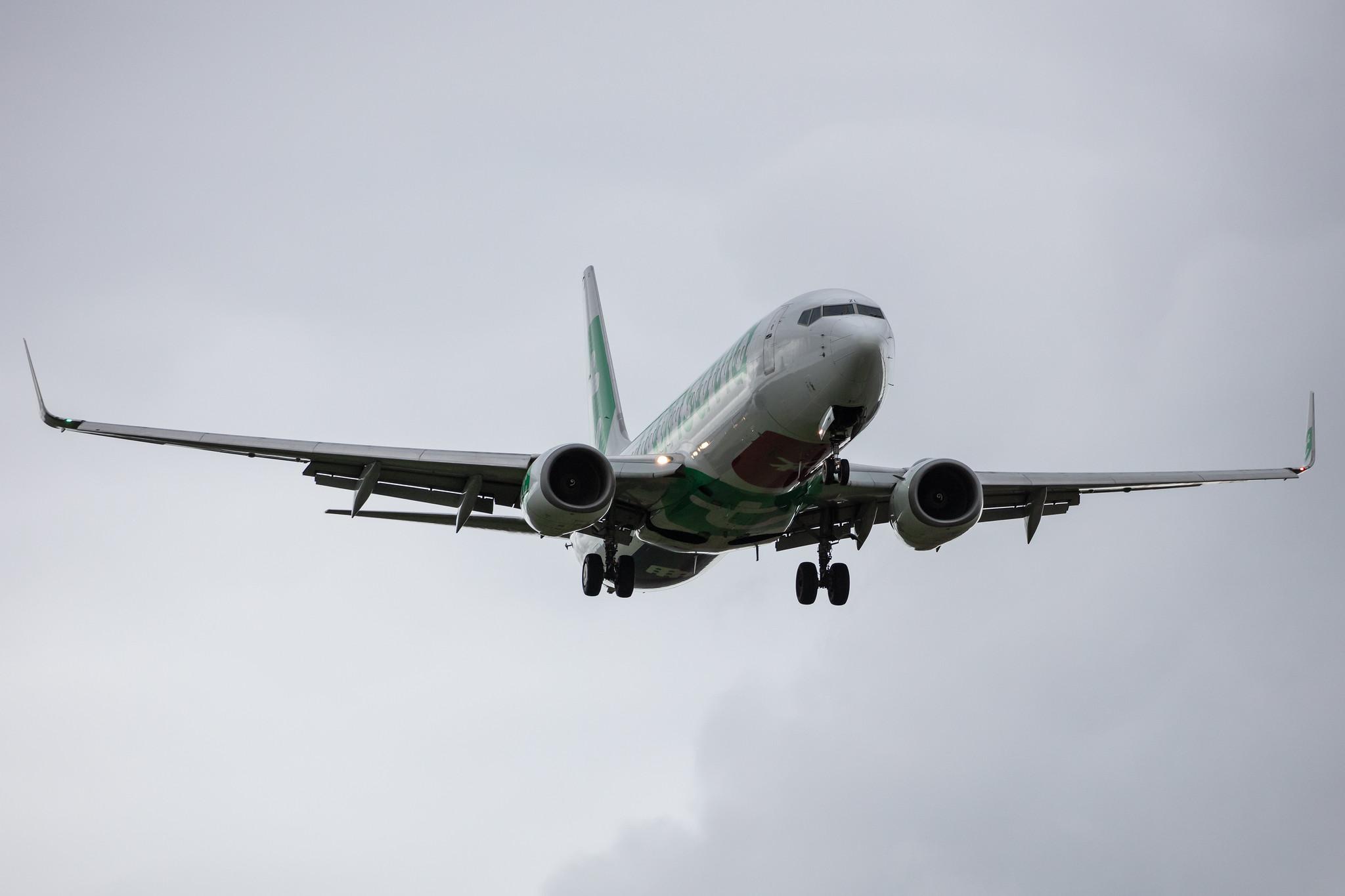 Amsterdam Schiphol: Transavia (HV / TRA) |  Boeing 737-8K2 B738 | PH-HZL | MSN 30391