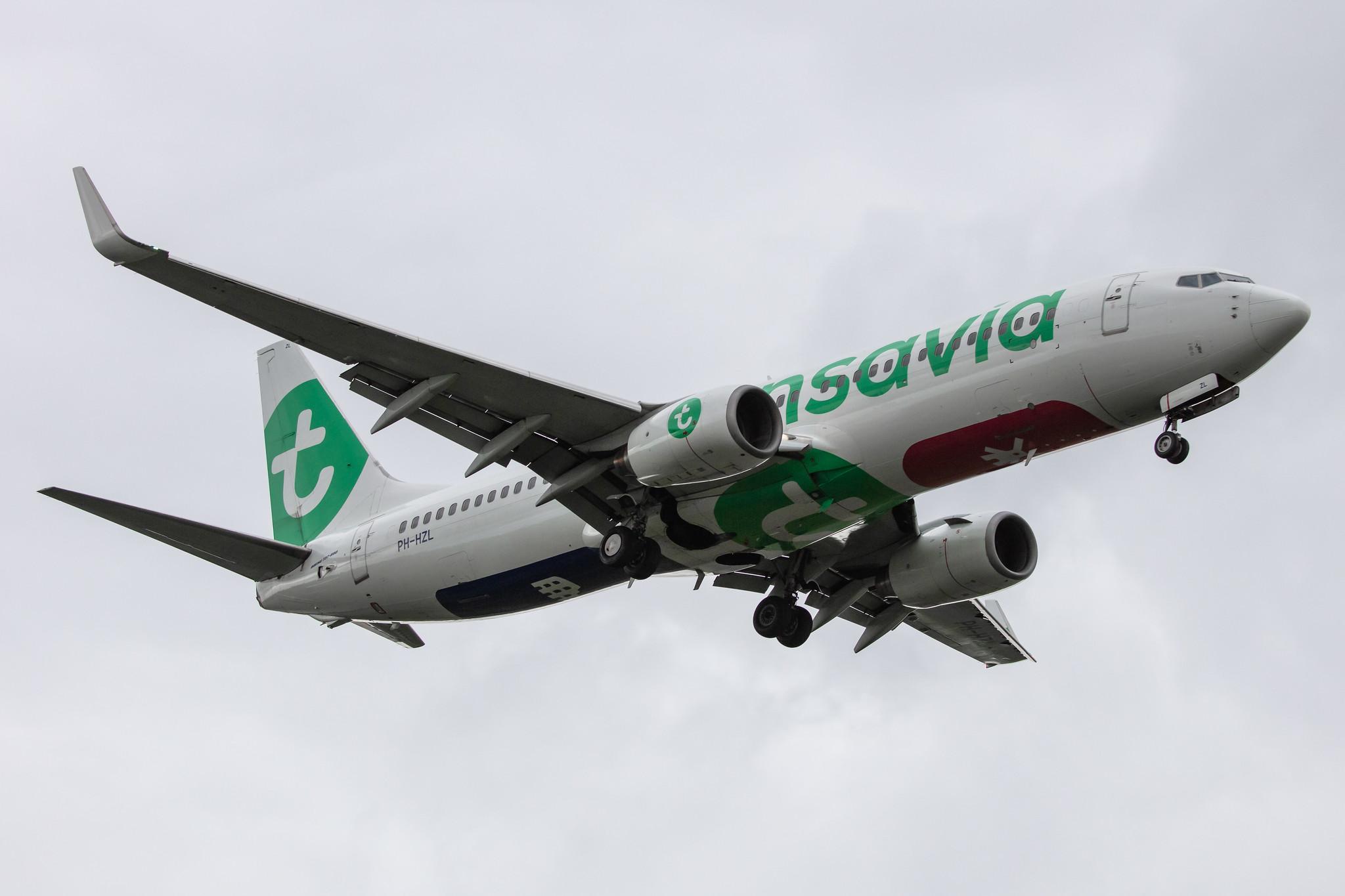 Amsterdam Schiphol: Transavia (HV / TRA) |  Boeing 737-8K2 B738 | PH-HZL | MSN 30391