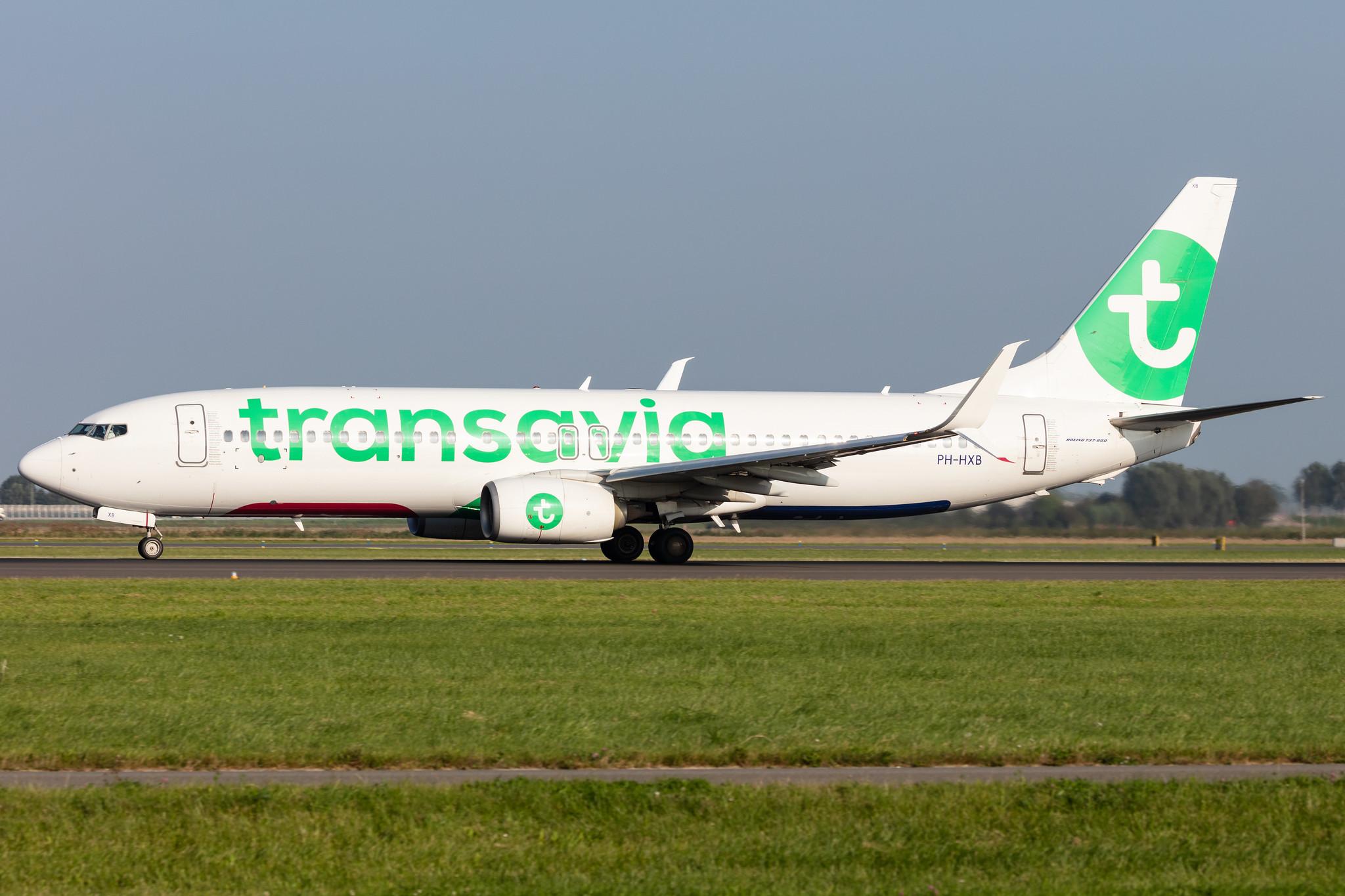 Amsterdam Schiphol: Transavia (HV / TRA) |  Boeing 737-8K2 B738 | PH-HXB | MSN 41340