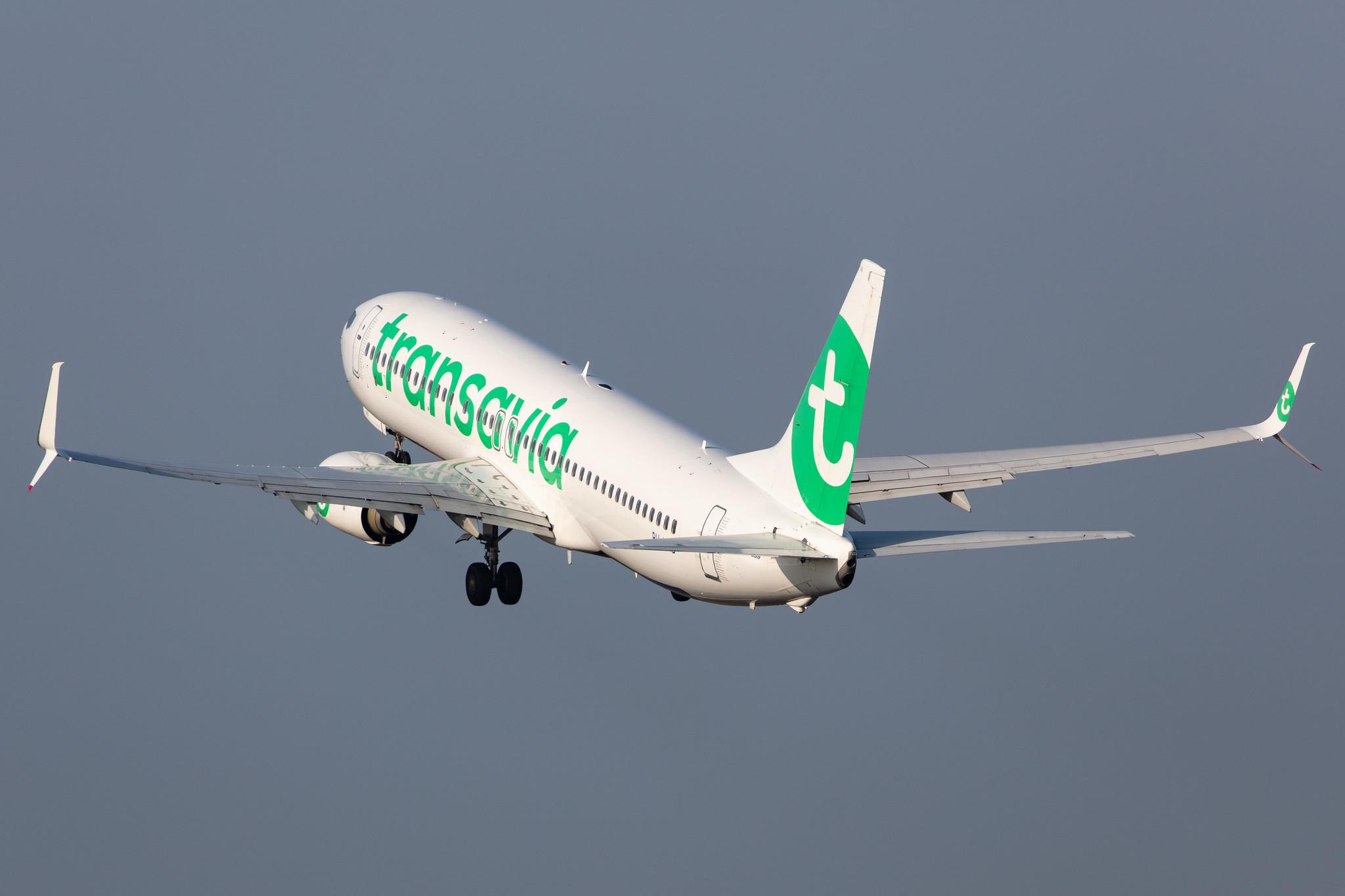 Amsterdam Schiphol: Transavia (HV / TRA) |  Boeing 737-8K2 B738 | PH-HXB | MSN 41340