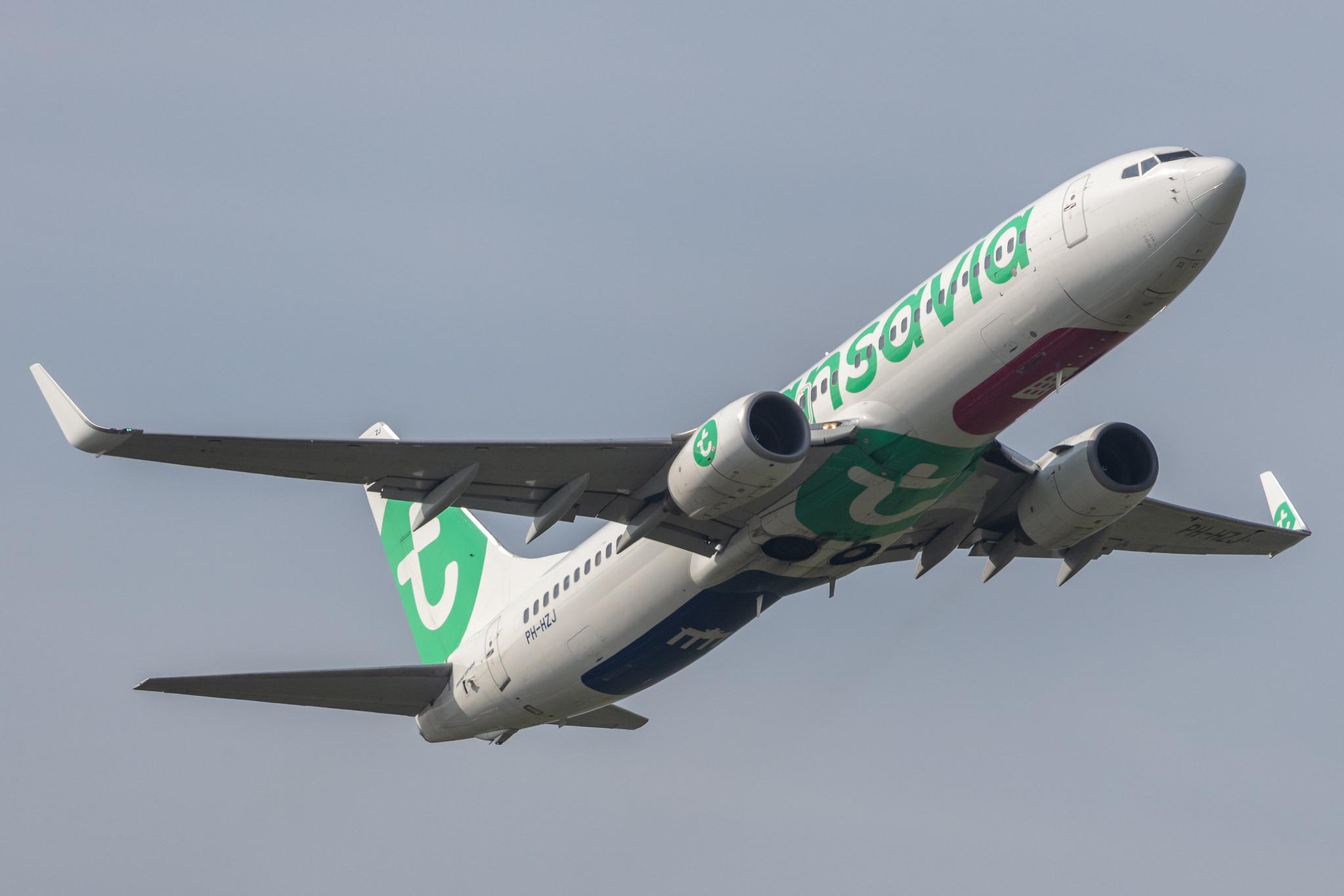 Amsterdam Schiphol: Transavia (HV / TRA) |  Boeing 737-8K2 B738 | PH-HZJ | MSN 30389
