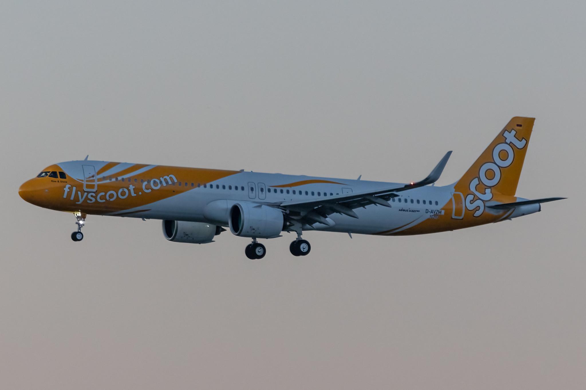 Hamburg Airport: Scoot (TR / TGW) |  Airbus A321-271NX A21N | D-AVZM (9V-NCF) | MSN 10390