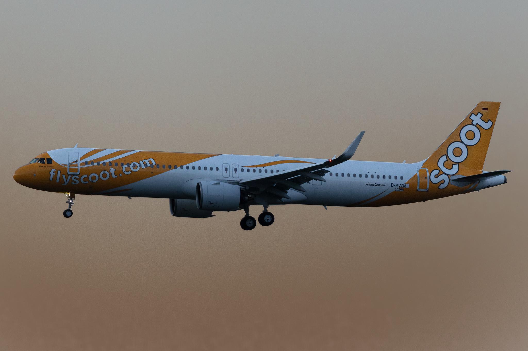 Hamburg Airport: Scoot (TR / TGW) |  Airbus A321-271NX A21N | D-AVZM (9V-NCF) | MSN 10390