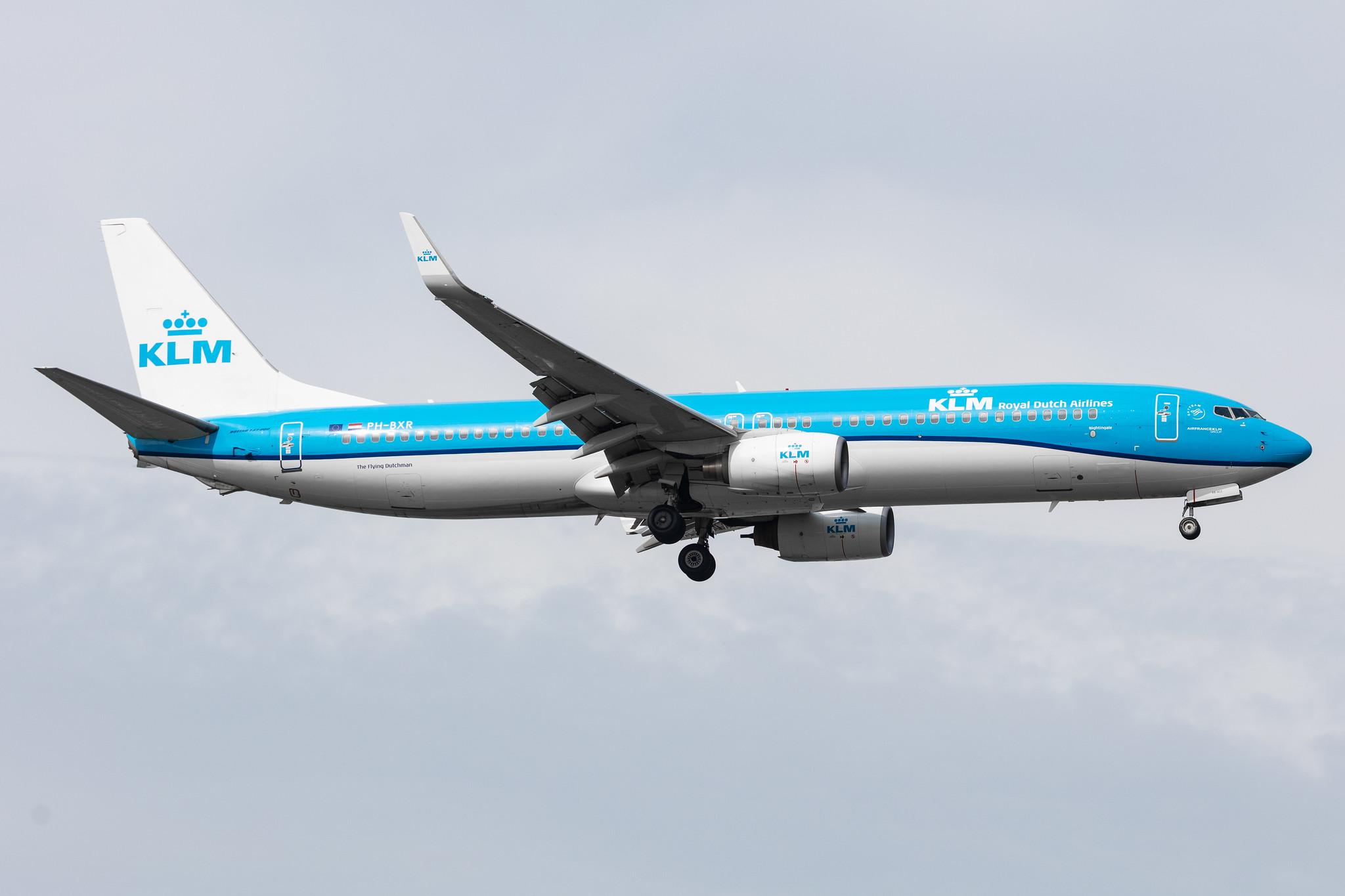 Amsterdam Schiphol: KLM (KL / KLM) |  Boeing 737-9K2 B739 | PH-BXR | MSN 29601