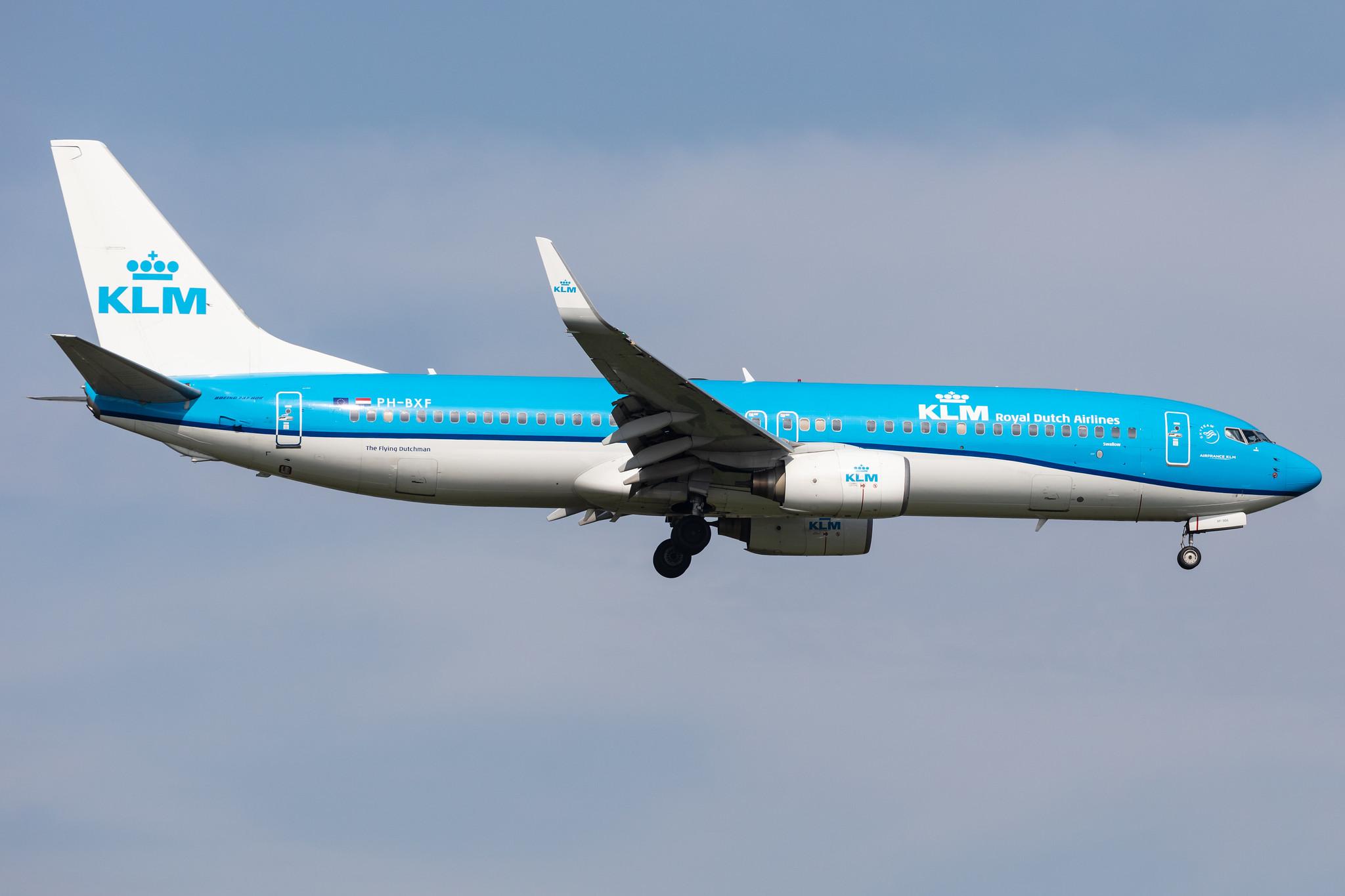 Amsterdam Schiphol: KLM (KL / KLM) |  Boeing 737-8K2 B738 | PH-BXF | MSN 29596