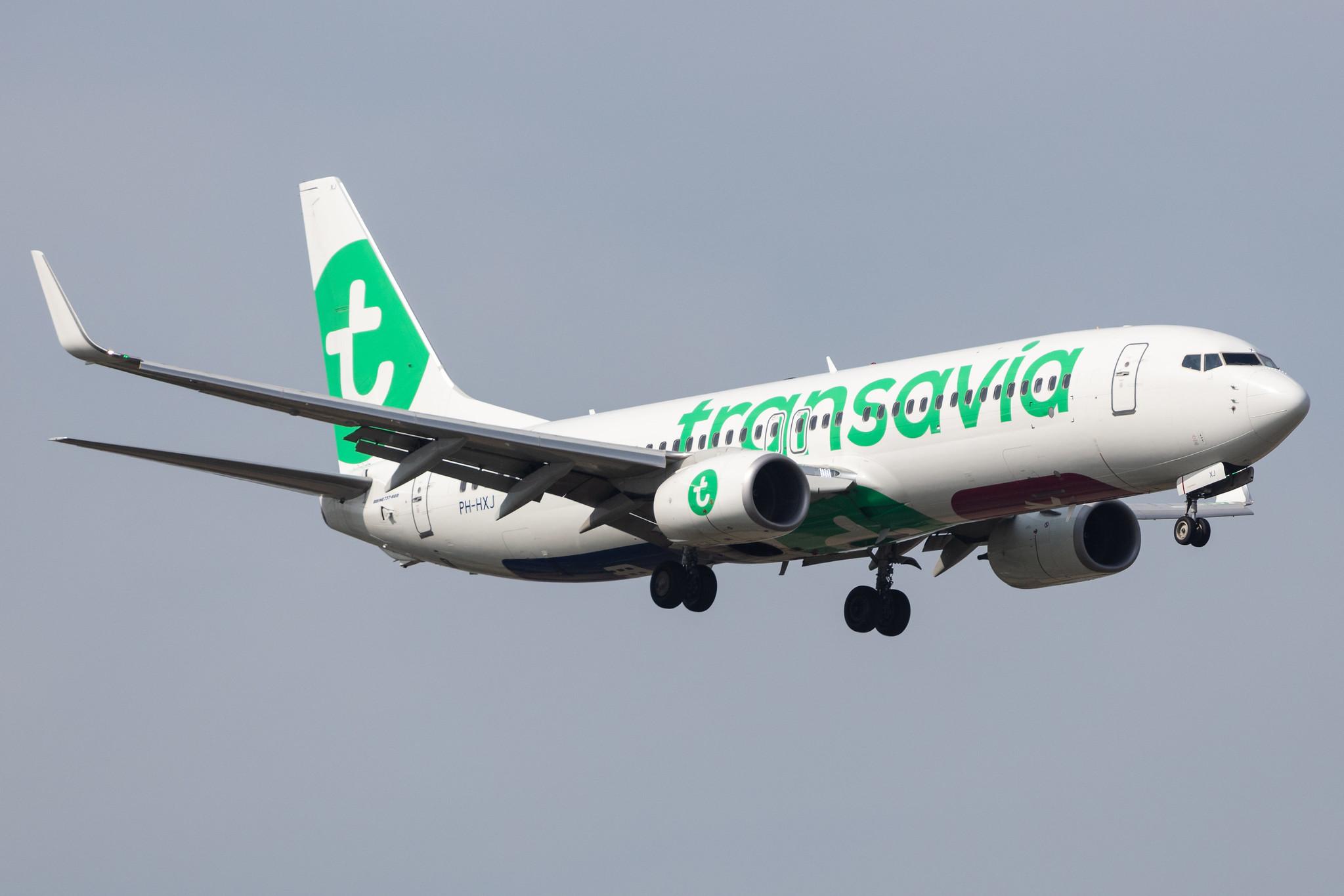 Amsterdam Schiphol: Transavia (HV / TRA) |  Boeing 737-8K2 B738 | PH-HXJ | MSN 62159