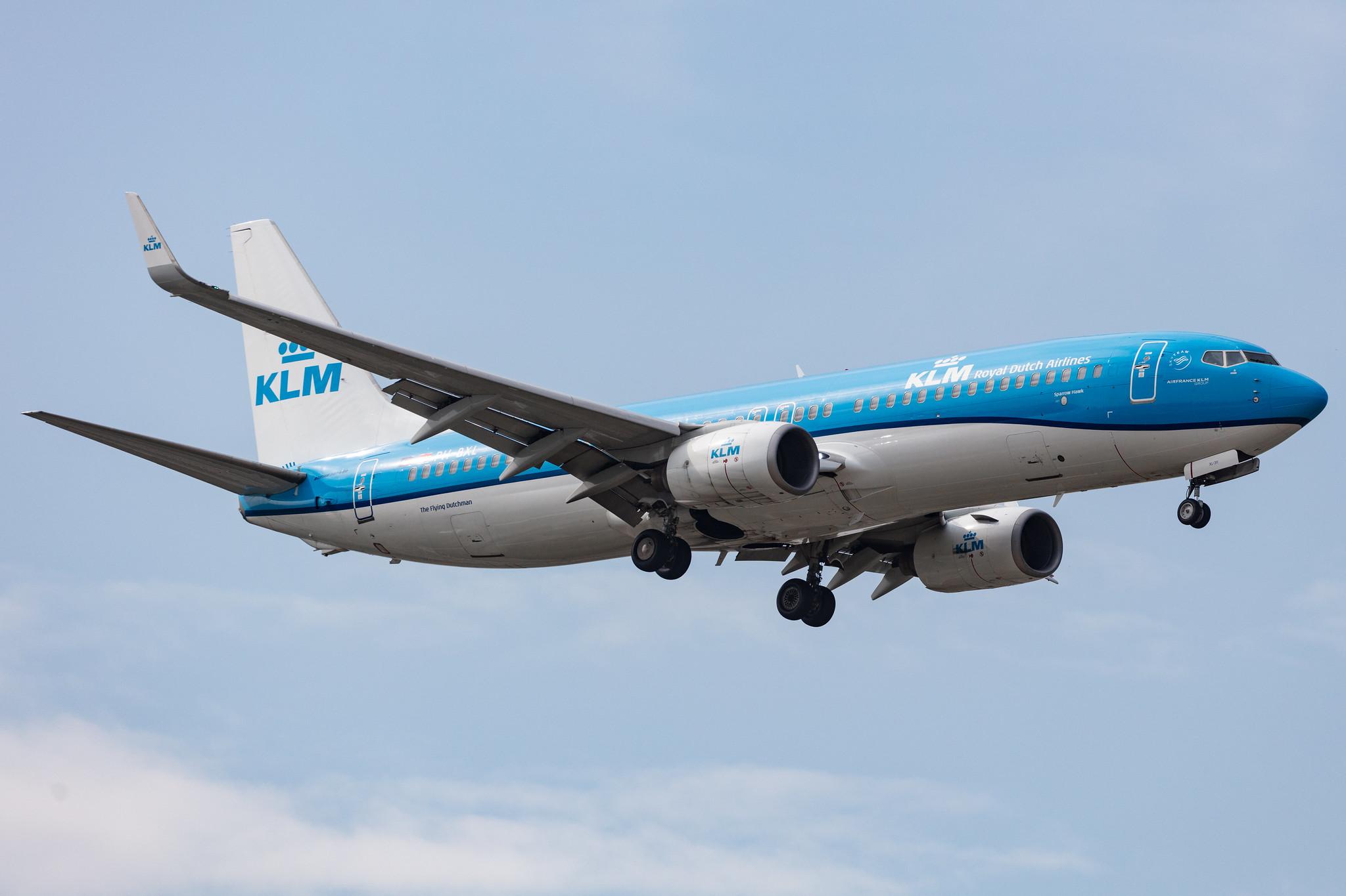 Amsterdam Schiphol: KLM (KL / KLM) |  Boeing 737-8K2 B738 | PH-BXL | MSN 30359
