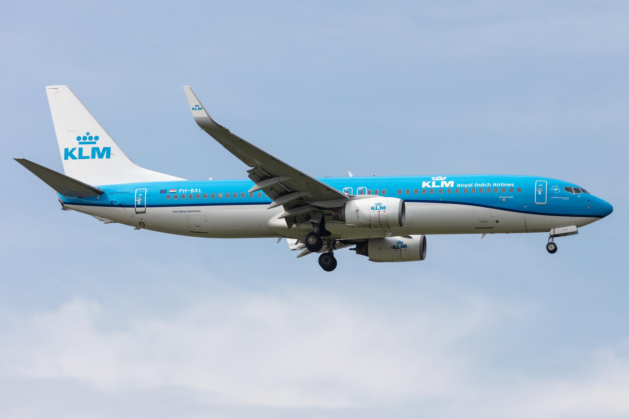 Amsterdam Schiphol: KLM (KL / KLM) |  Boeing 737-8K2 B738 | PH-BXL | MSN 30359