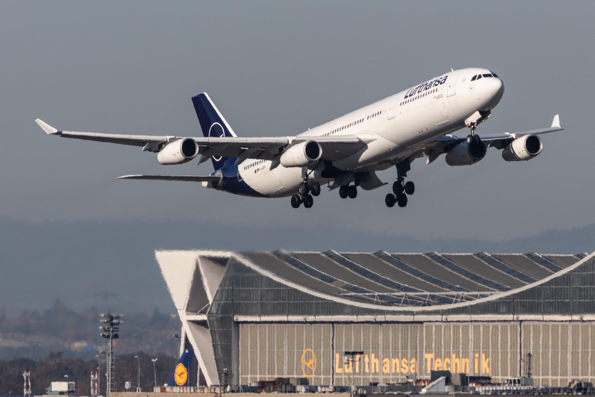 Frankfurt Airport: Lufthansa (LH / DLH) |  Airbus A340-313 A343 | D-AIFF | MSN 0447
