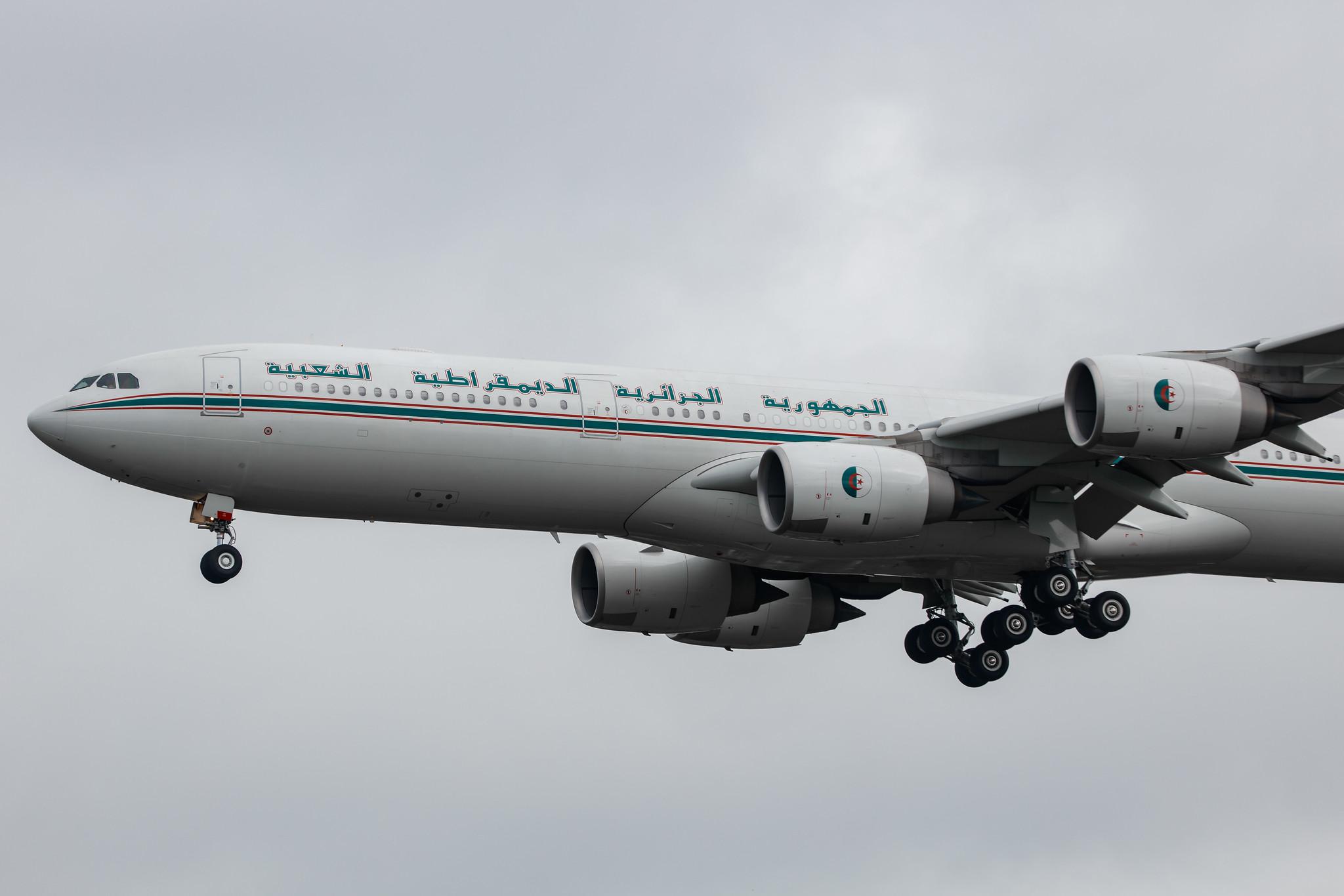 Hamburg Airport: Algerian Government |  Airbus A340-541 A345 | 7T-VPP | MSN 0917