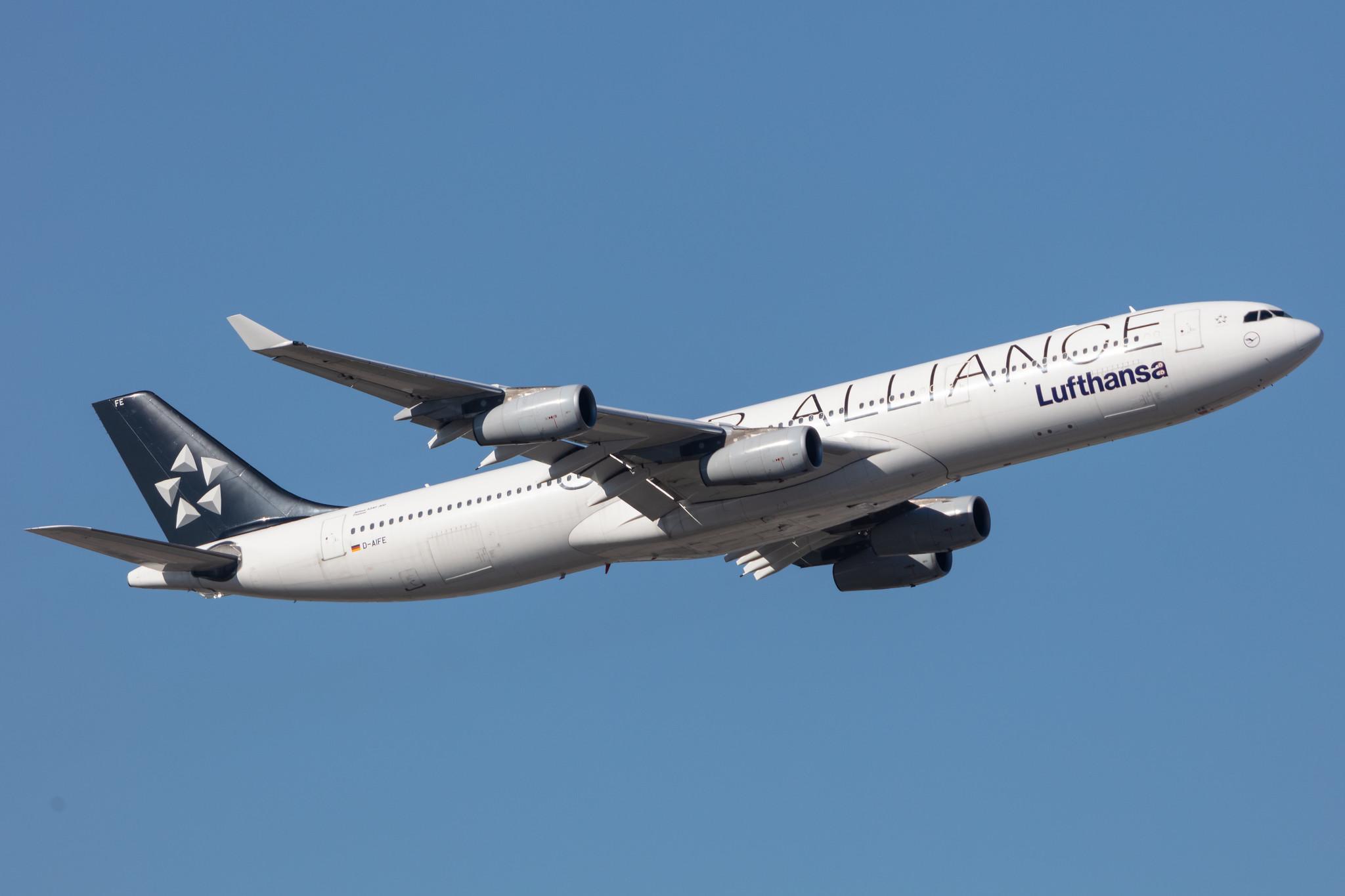 Frankfurt Airport: Lufthansa (LH / DLH) |  Livery: Star Alliance Livery |  Airbus A340-313 A343 | D-AIFE | MSN 0434