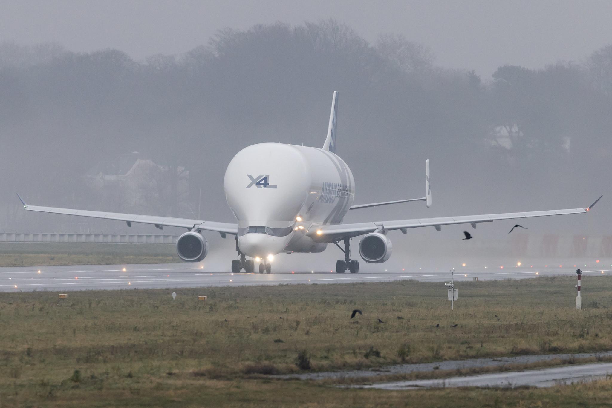 Hamburg Finkenwerder: Airbus Transport International (4Y / BGA) |  Airbus A330-743L Beluga XL A337 | F-GXLJ | MSN 1985