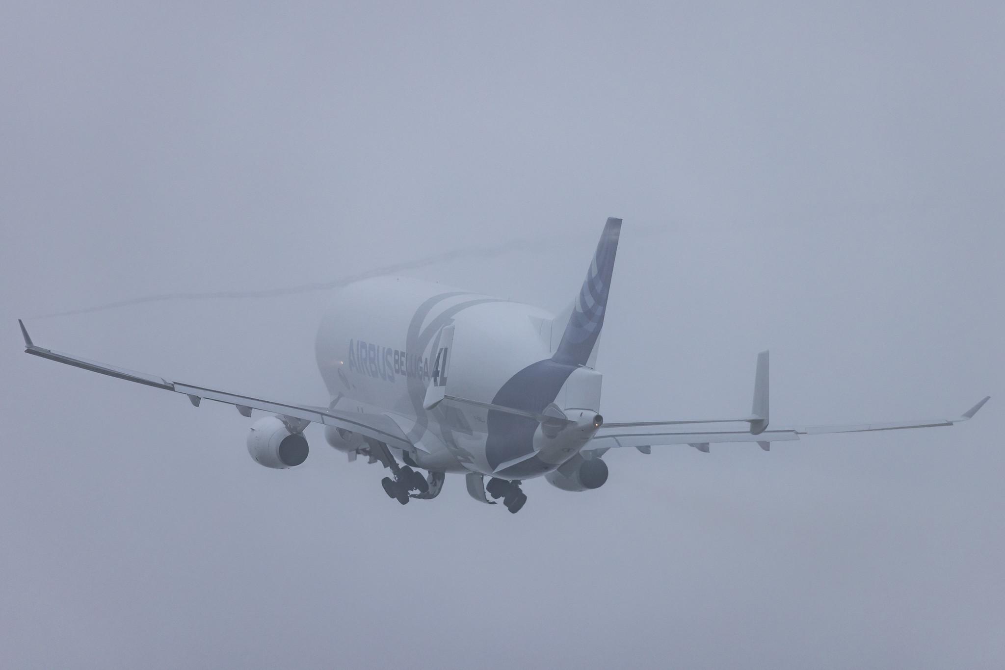 Hamburg Finkenwerder: Airbus Transport International (4Y / BGA) |  Airbus A330-743L Beluga XL A337 | F-GXLJ | MSN 1985