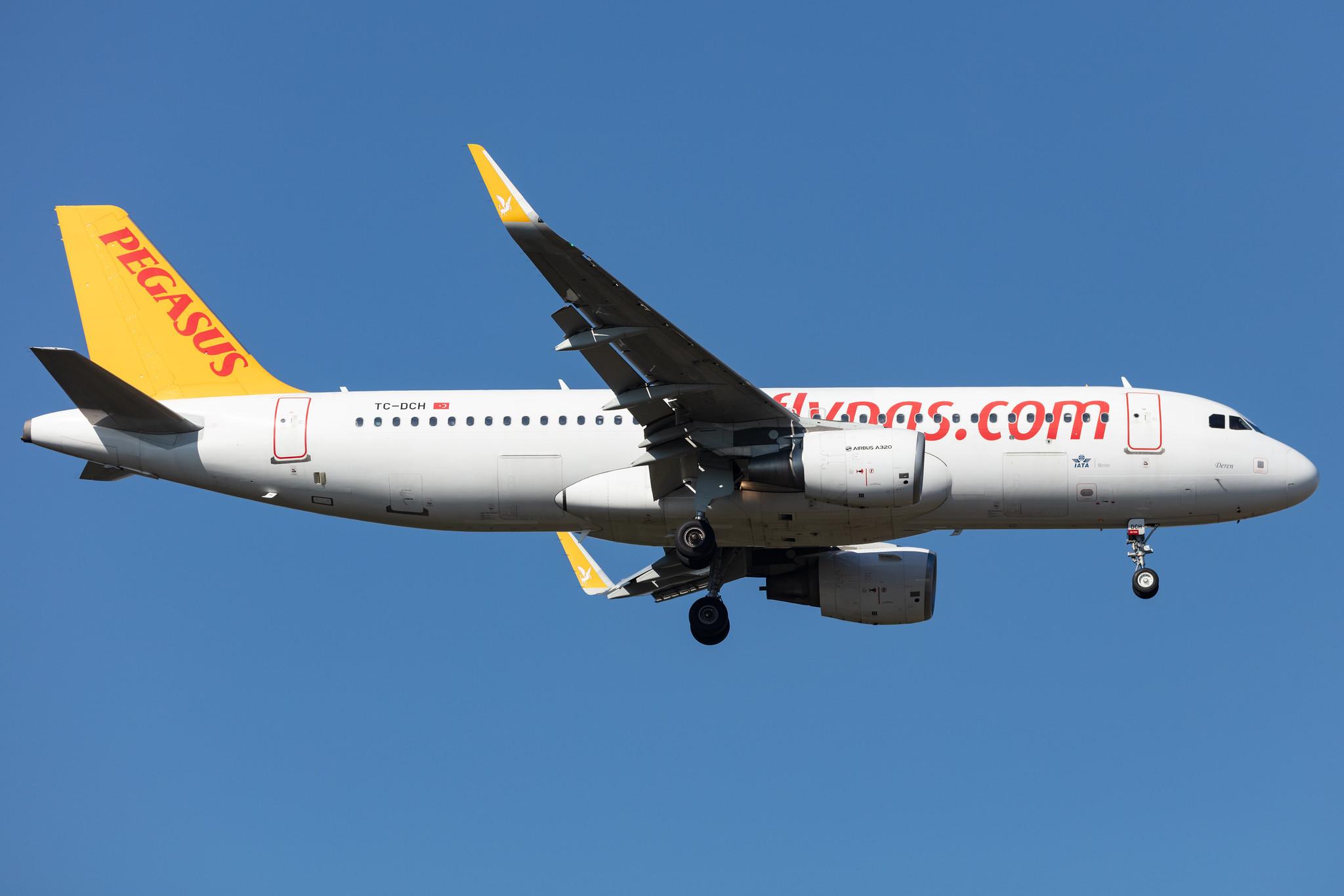 Frankfurt Airport: Pegasus (PC / PGT) | Operator: Pegasus Airlines |  Airbus A320-216 A320 | TC-DCH | MSN 06619