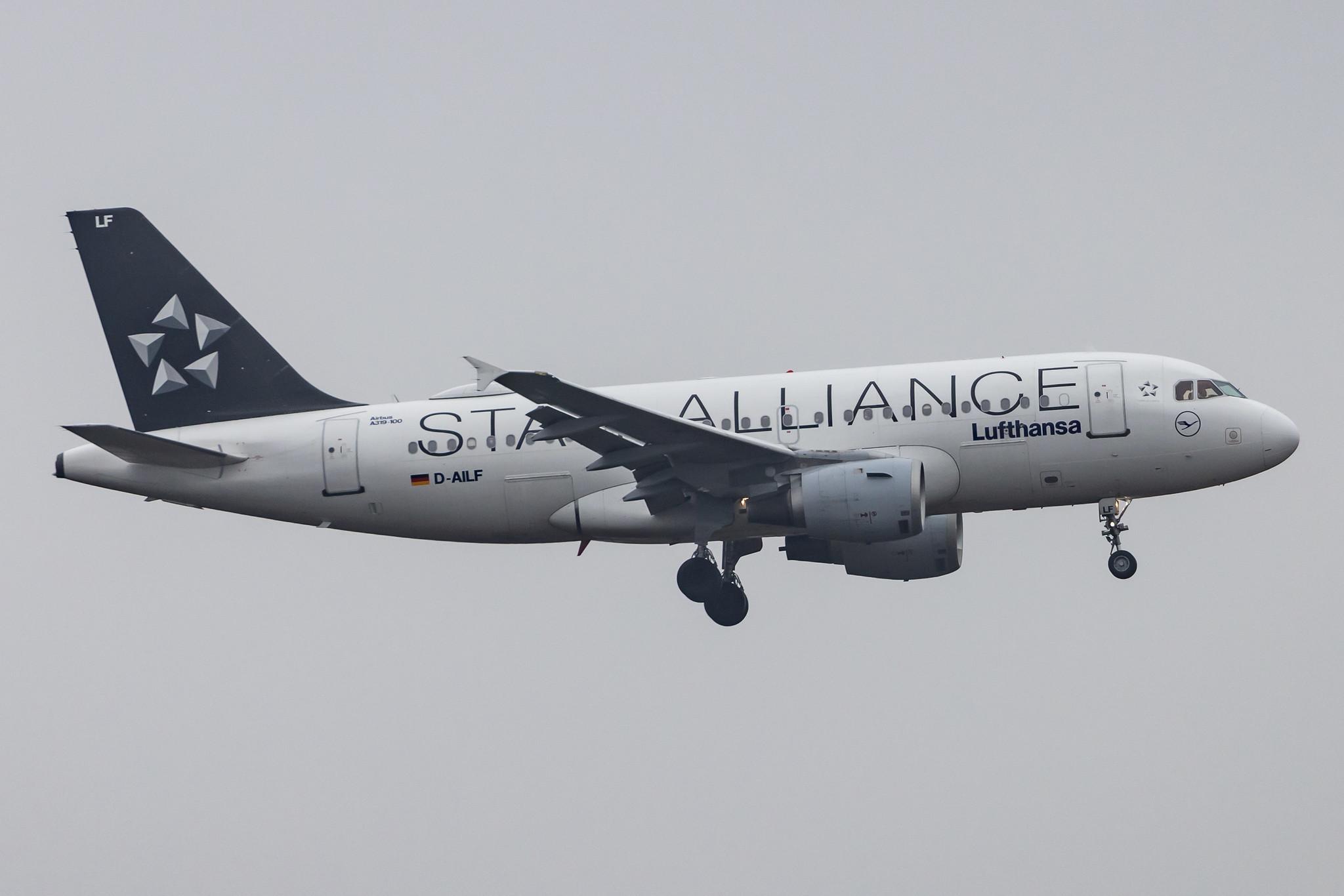 Frankfurt Airport: Lufthansa (LH / DLH) |  Livery: Star Alliance Livery |  Airbus A319-114 A319 | D-AILF | MSN 0636