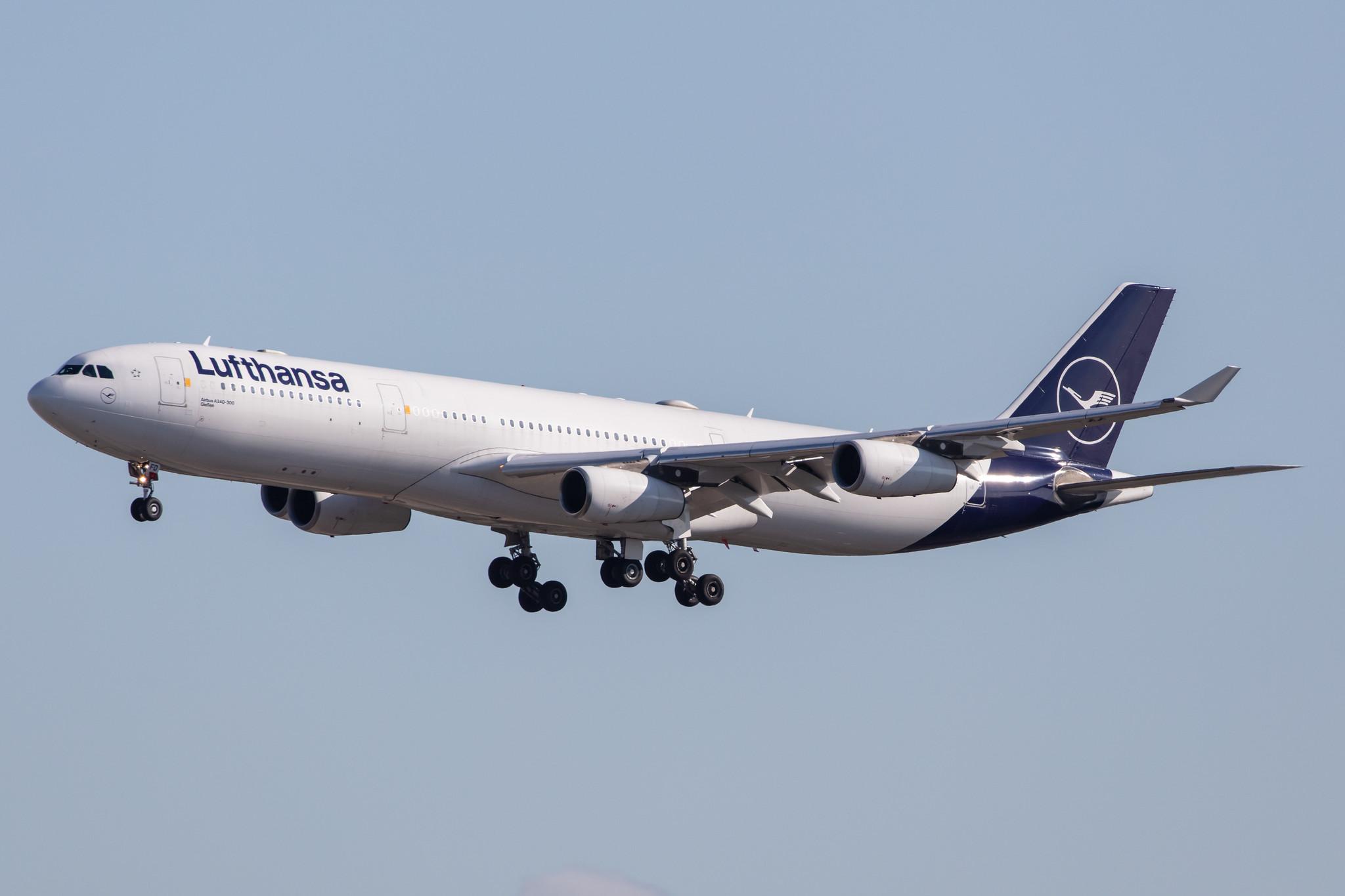 Frankfurt Airport: Lufthansa (LH / DLH) |  Airbus A340-313 A343 | D-AIFD | MSN 0390