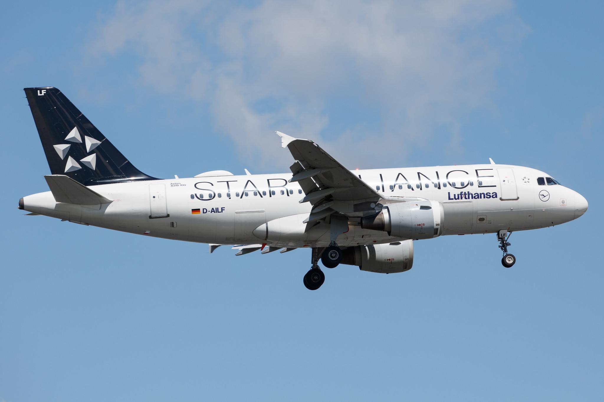 Frankfurt Airport: Lufthansa (LH / DLH) |  Livery: Star Alliance Livery |  Airbus A319-114 A319 | D-AILF | MSN 0636