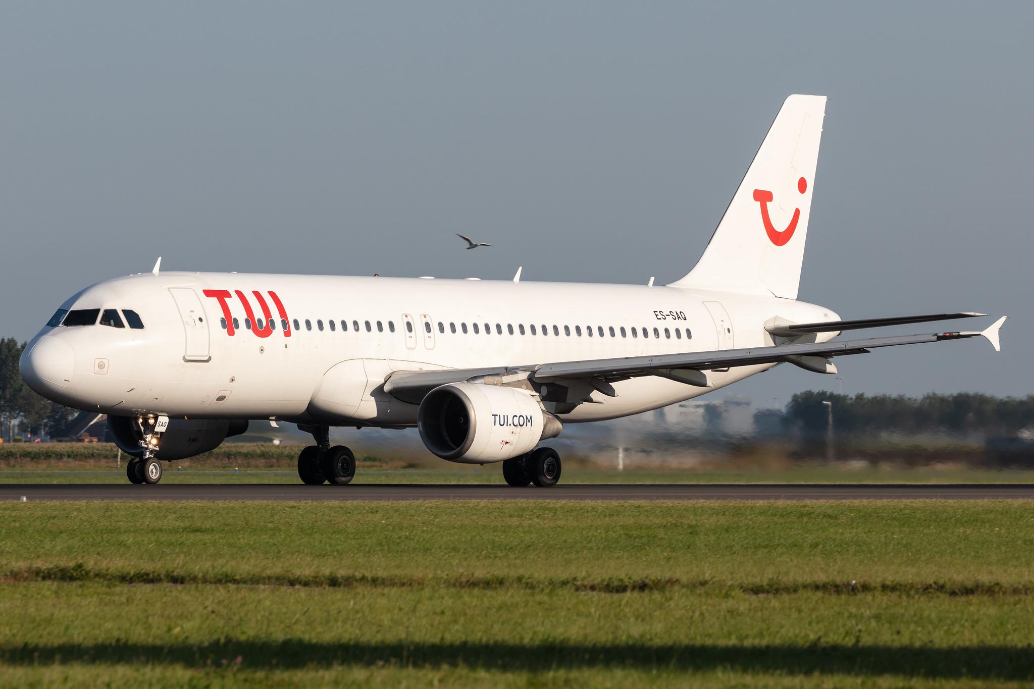Amsterdam Schiphol:  TUI Airlines Netherlands (OR / TFL) | Operator: SmartLynx Airlines Estonia |  Airbus A320-214 A320 | ES-SAQ | MSN 00984