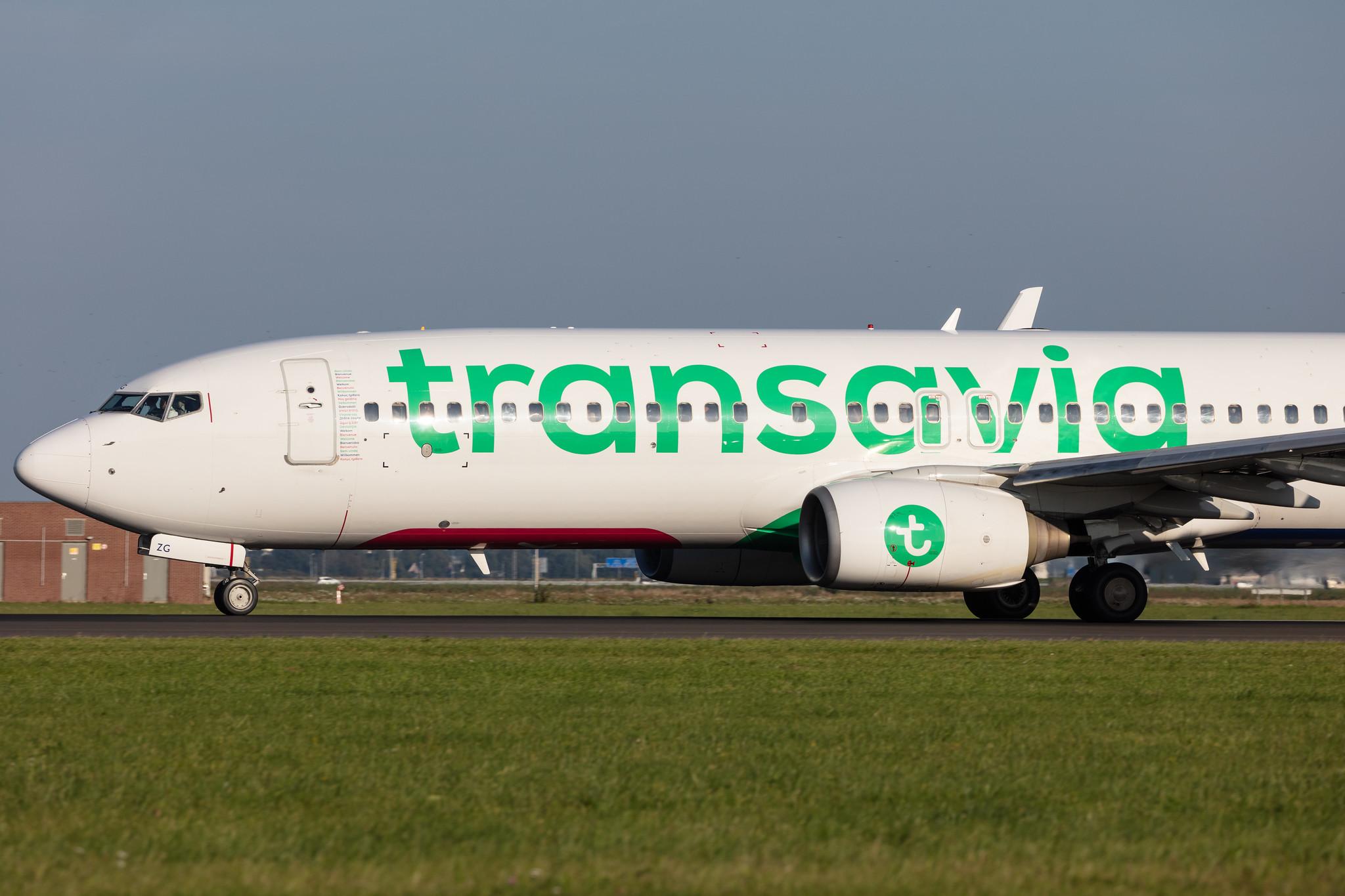 Amsterdam Schiphol: Transavia (HV / TRA) |  Boeing 737-8K2 B738 | PH-HZG | MSN 28379