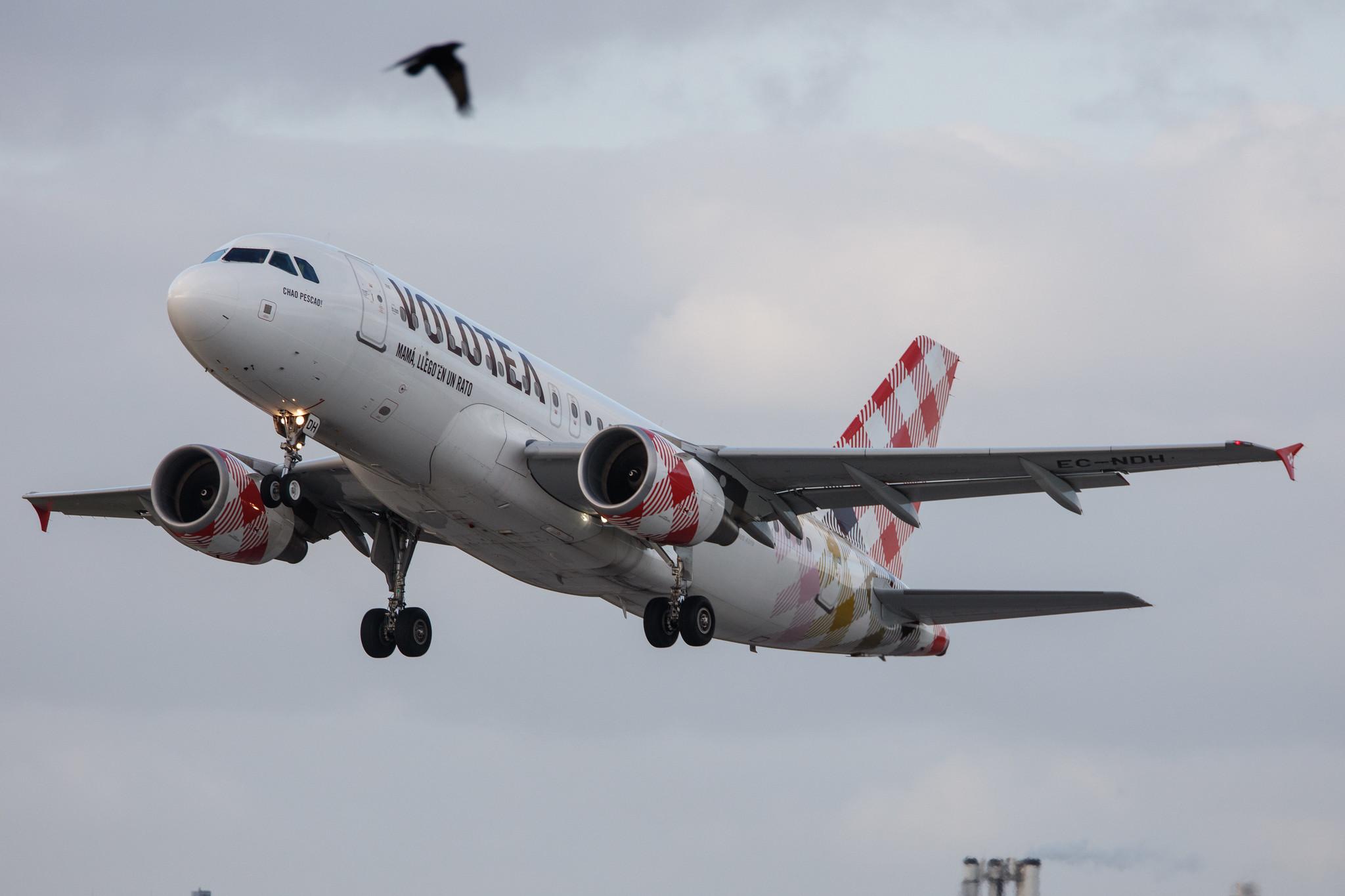 Hamburg Finkenwerder: Volotea (V7 / VOE) |  Airbus A319-111 A319 | EC-NDH | MSN 03403