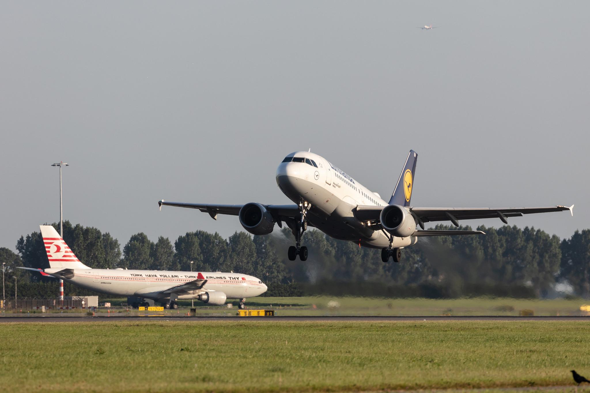Amsterdam Schiphol: Lufthansa (LH / DLH) |  Airbus A319-112 A319 | D-AIBH | MSN 5239