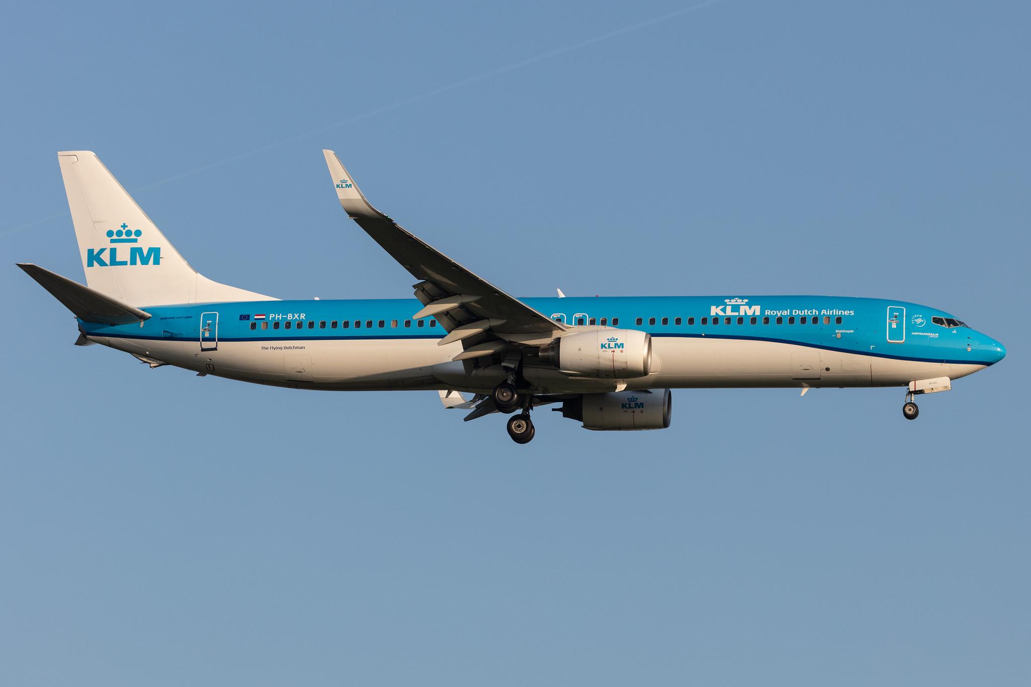 Amsterdam Schiphol: KLM (KL / KLM) |  Boeing 737-9K2 B739 | PH-BXR | MSN 29601