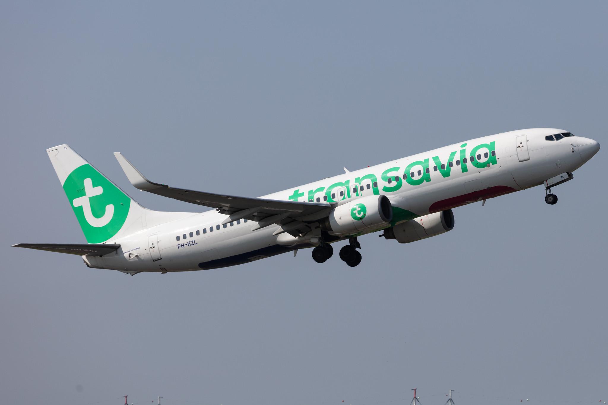 Amsterdam Schiphol: Transavia (HV / TRA) |  Boeing 737-8K2 B738 | PH-HZL | MSN 30391