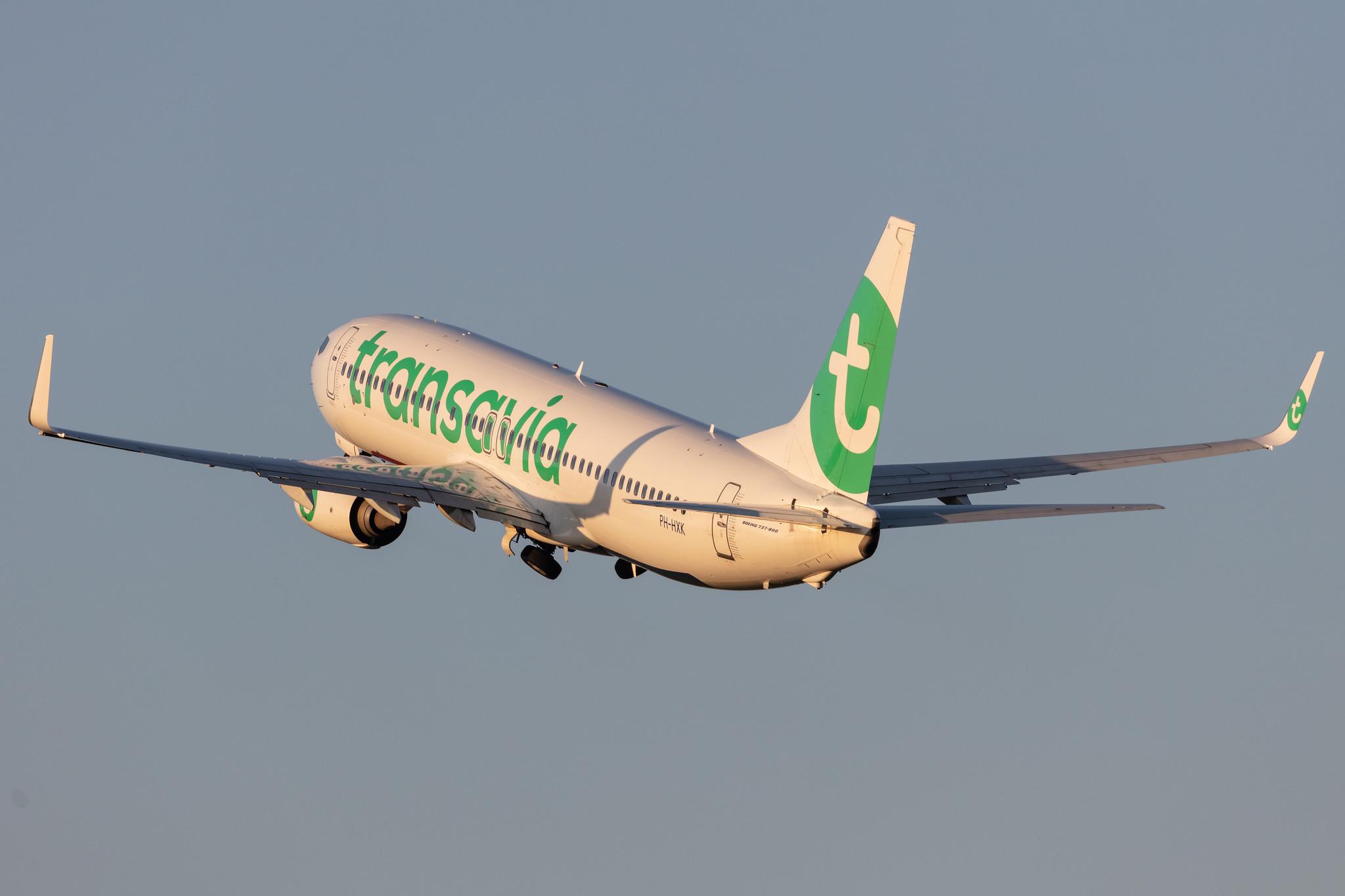 Amsterdam Schiphol: Transavia (HV / TRA) |  Boeing 737-8K2 B738 | PH-HXK | MSN 62157