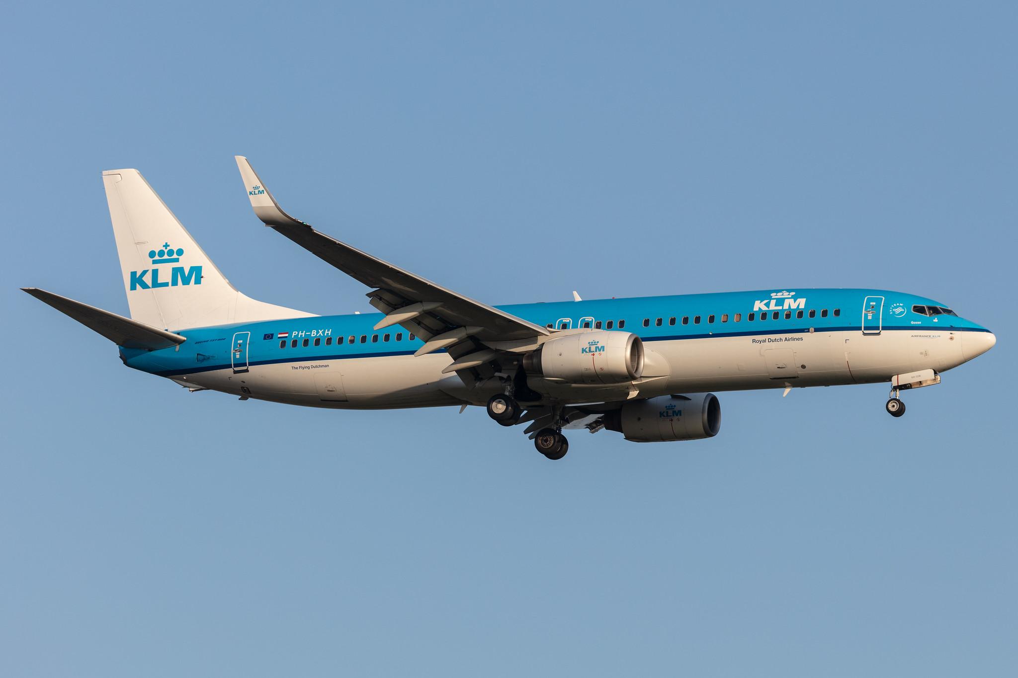 Amsterdam Schiphol: KLM (KL / KLM) |  Boeing 737-8K2 B738 | PH-BXH | MSN 29597
