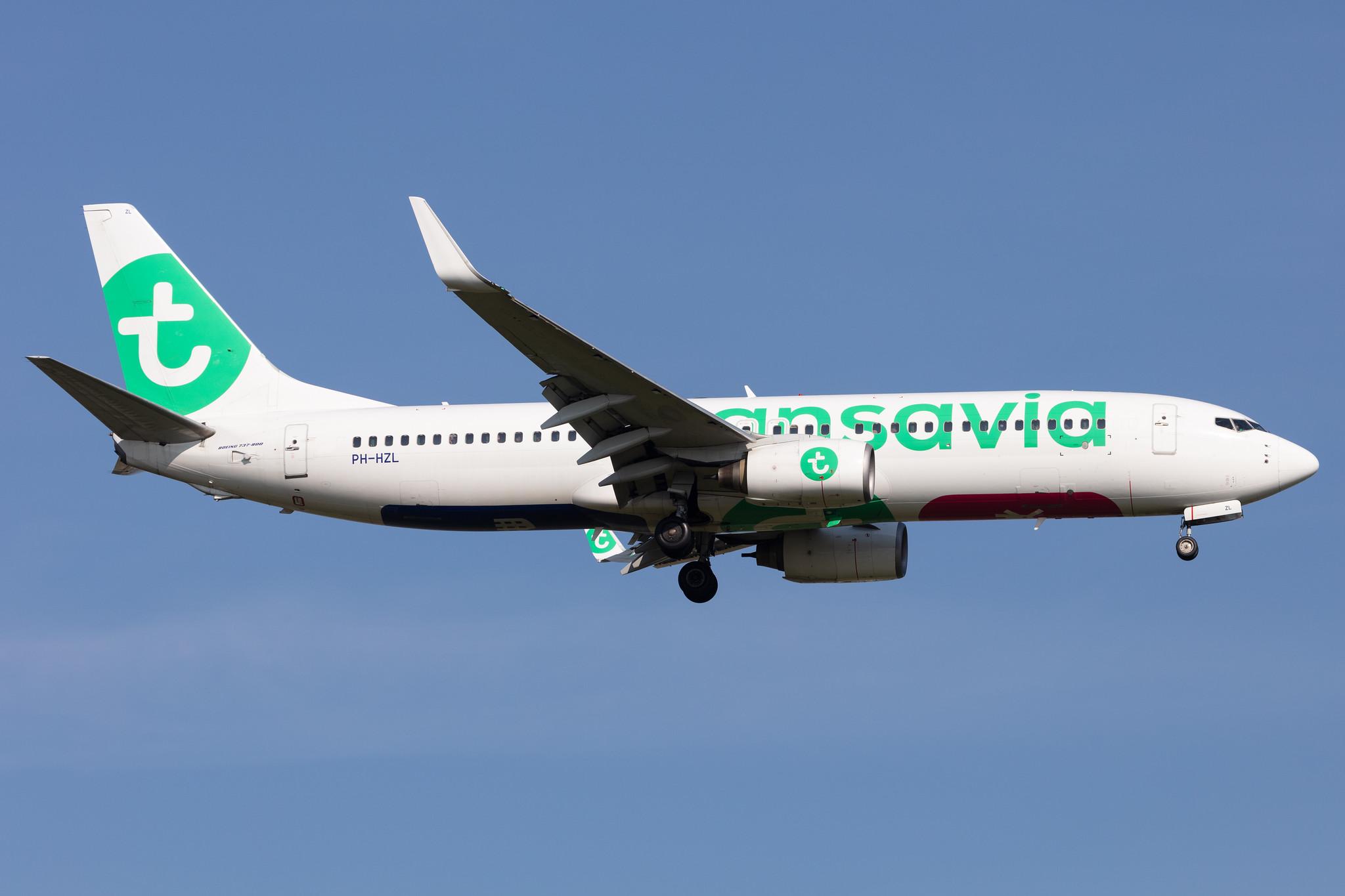 Amsterdam Schiphol: Transavia (HV / TRA) |  Boeing 737-8K2 B738 | PH-HZL | MSN 30391